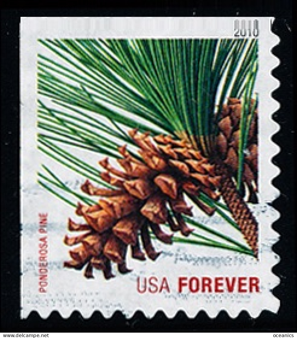 Etats-Unis / United States (Scott No.4482 - Noël / 2010 / Christmas) (o) ATM (P2) Top Left - Used Stamps
