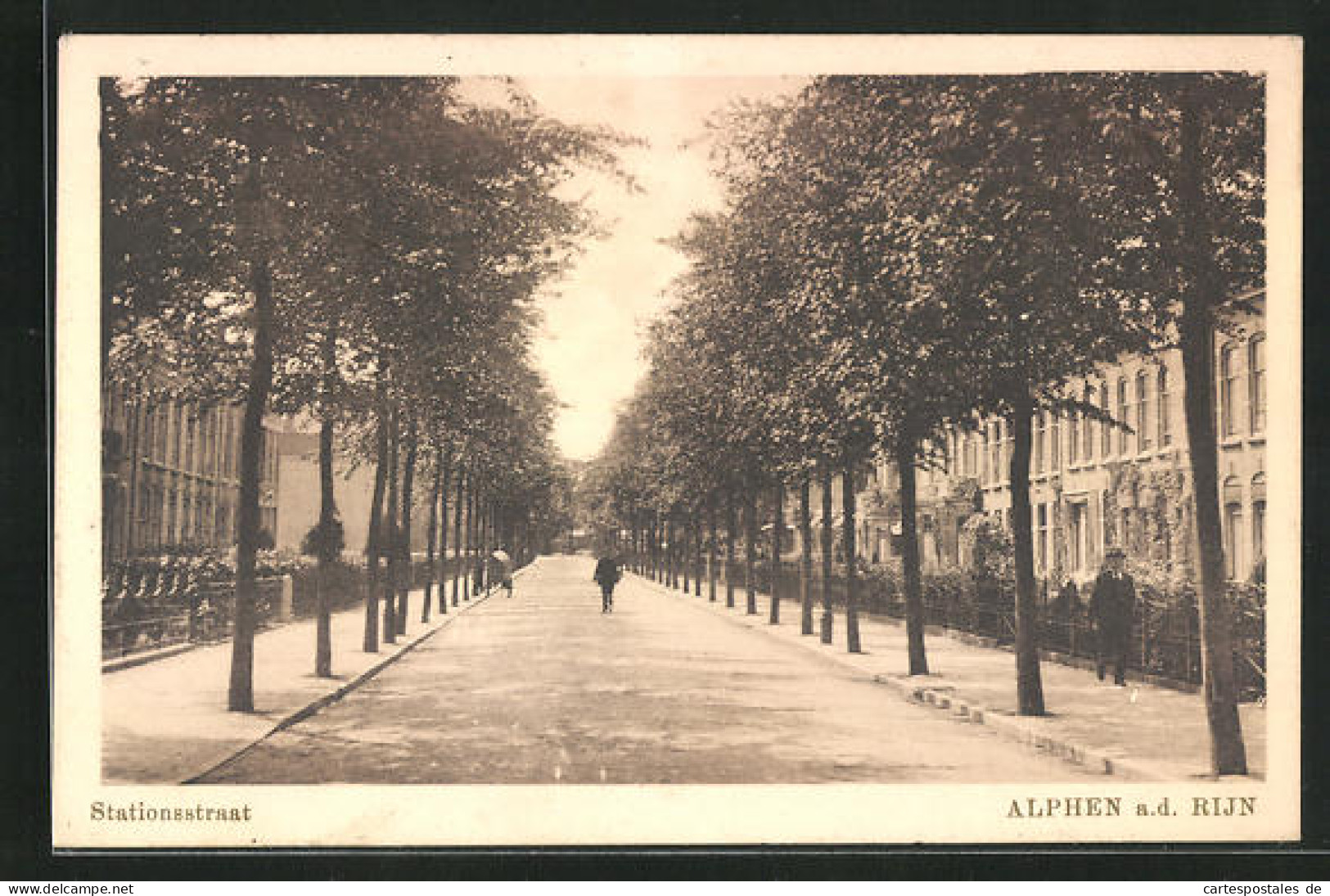 AK Alphen A/d Rijn, Stationstraat, Blick In Die Strasse  - Alphen A/d Rijn