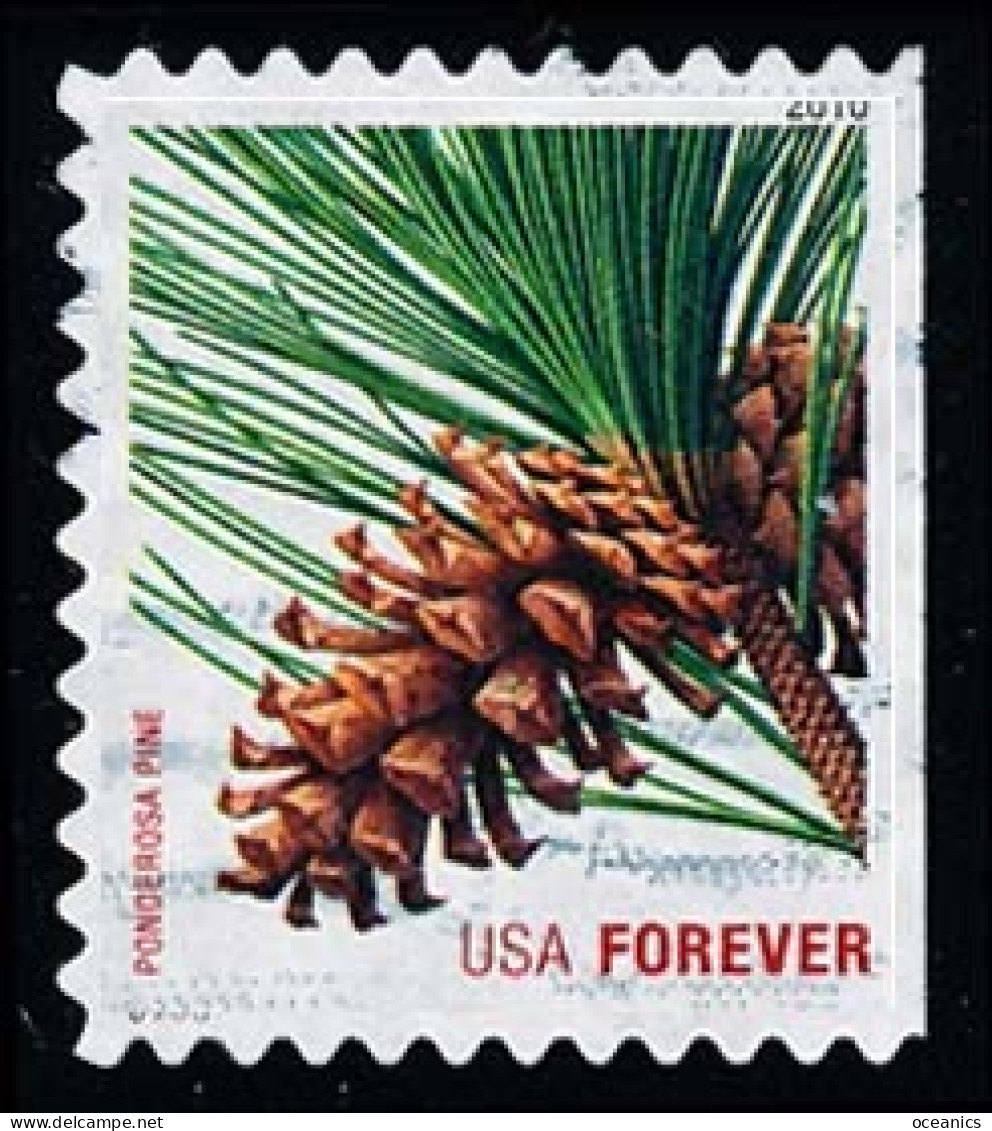 Etats-Unis / United States (Scott No.4482 - Noël / 2010 / Christmas) (o) ATM (P3) Right - Used Stamps