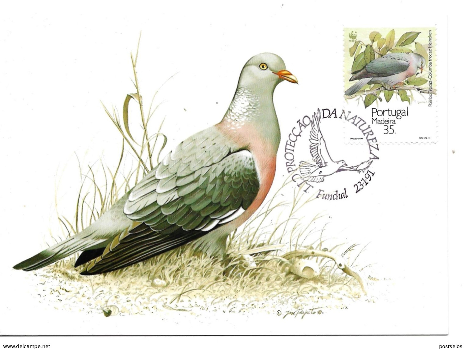 Aves - Madeira - Cartes-maximum (CM)