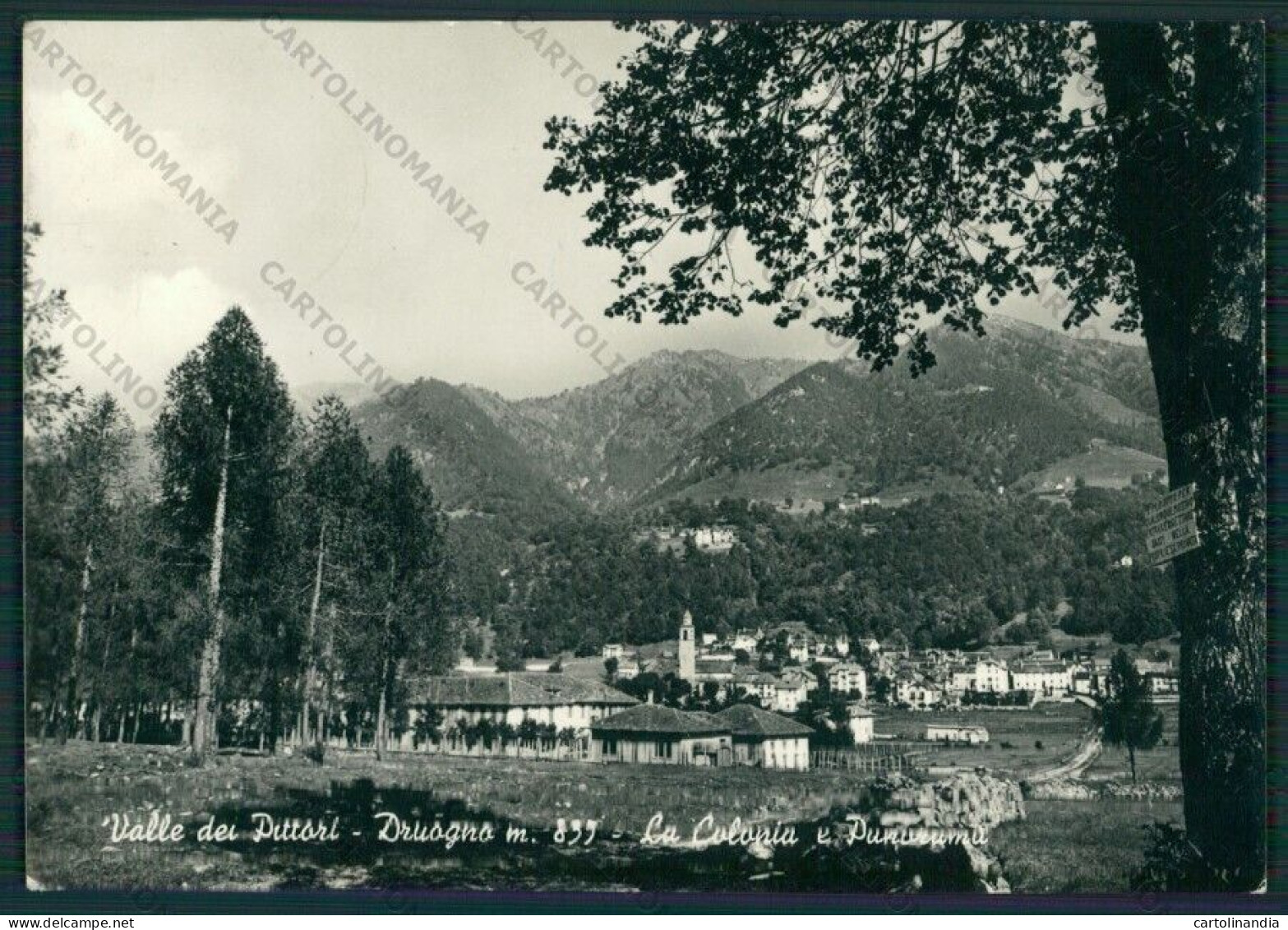 Verbania Druogno Valle Dei Pittori Colonia PIEGA Foto FG Cartolina KV8183 - Verbania