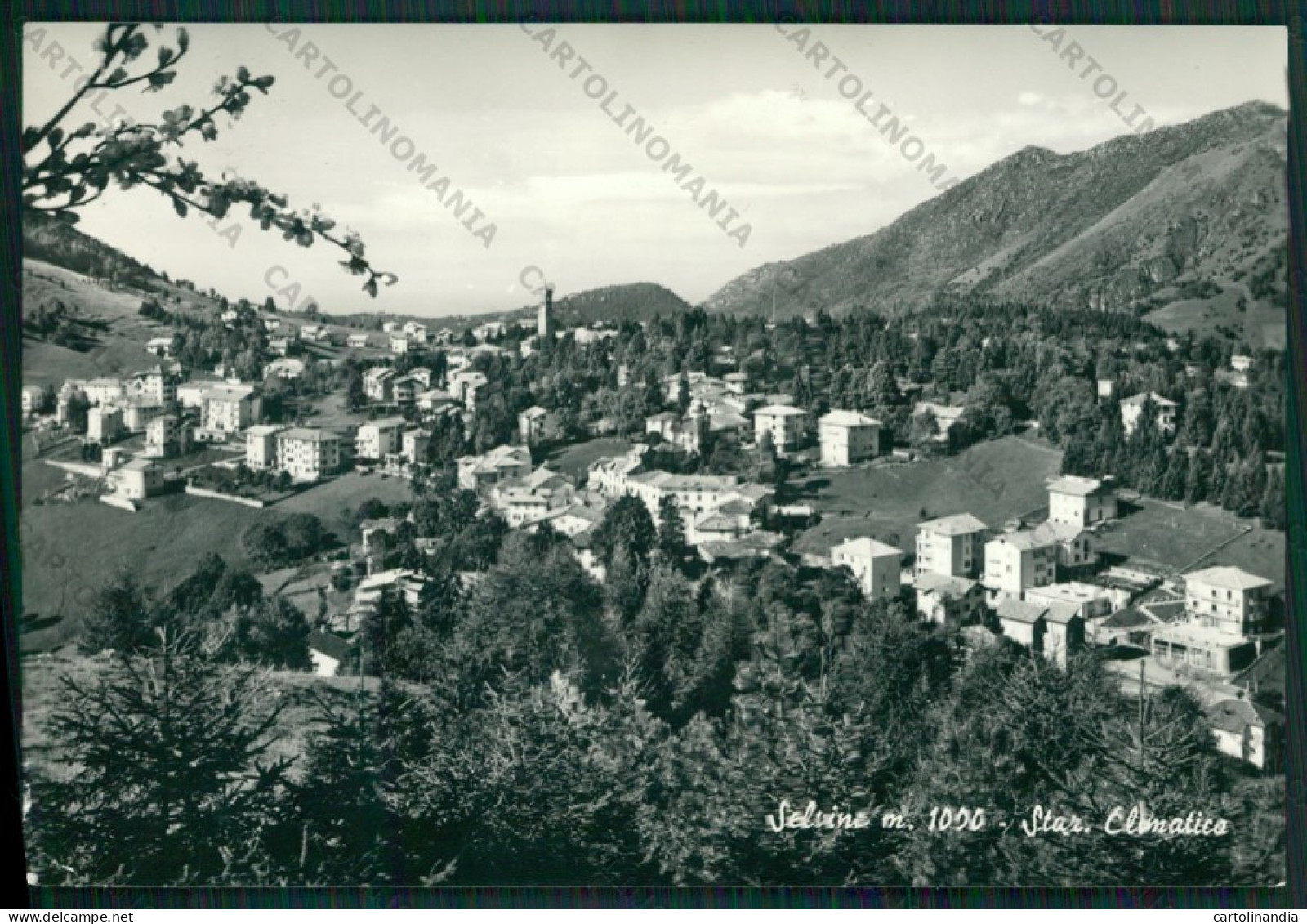 Bergamo Selvino Foto FG Cartolina KV8319 - Bergamo