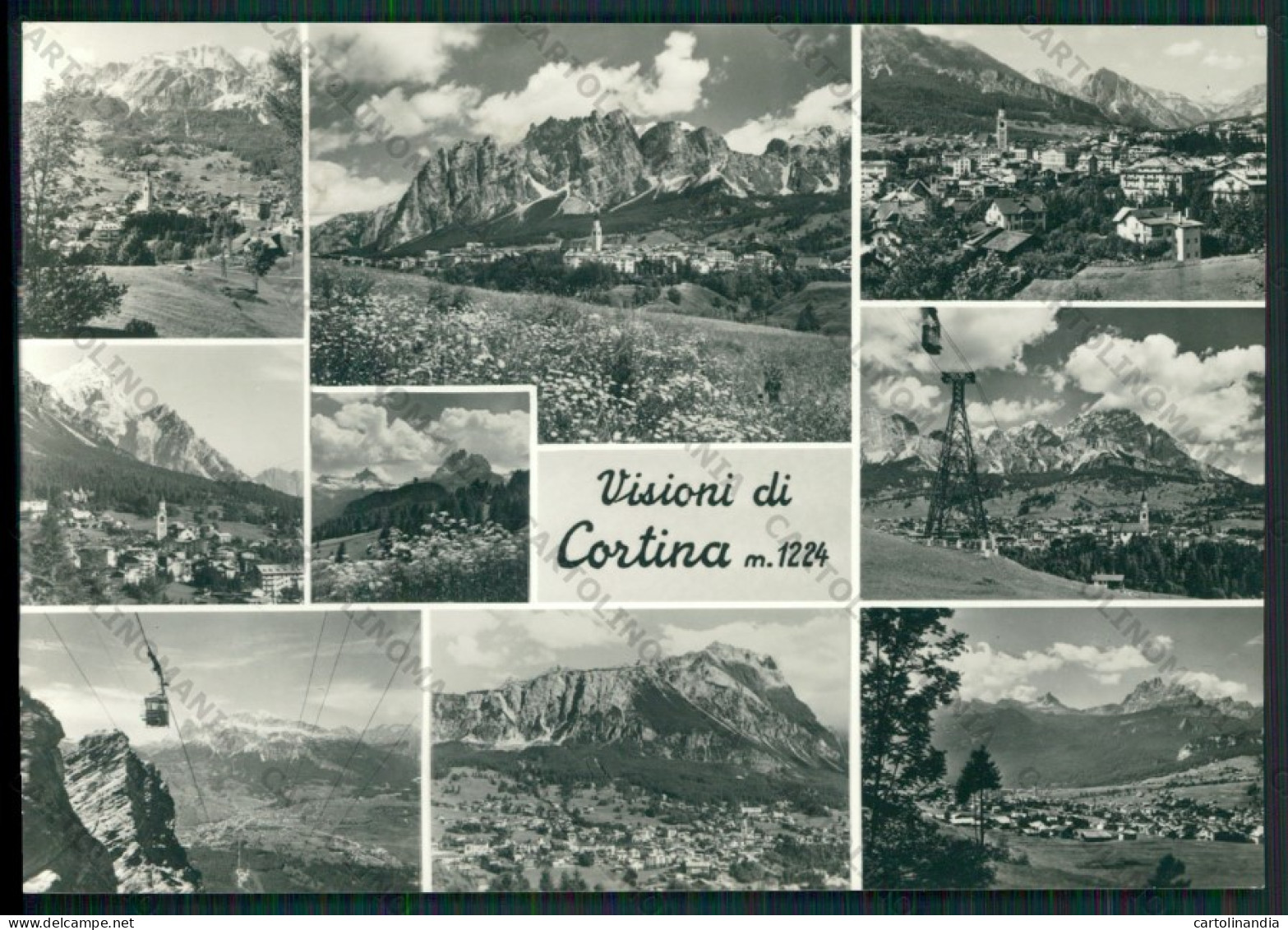 Belluno Cortina Foto FG Cartolina KV8334 - Belluno