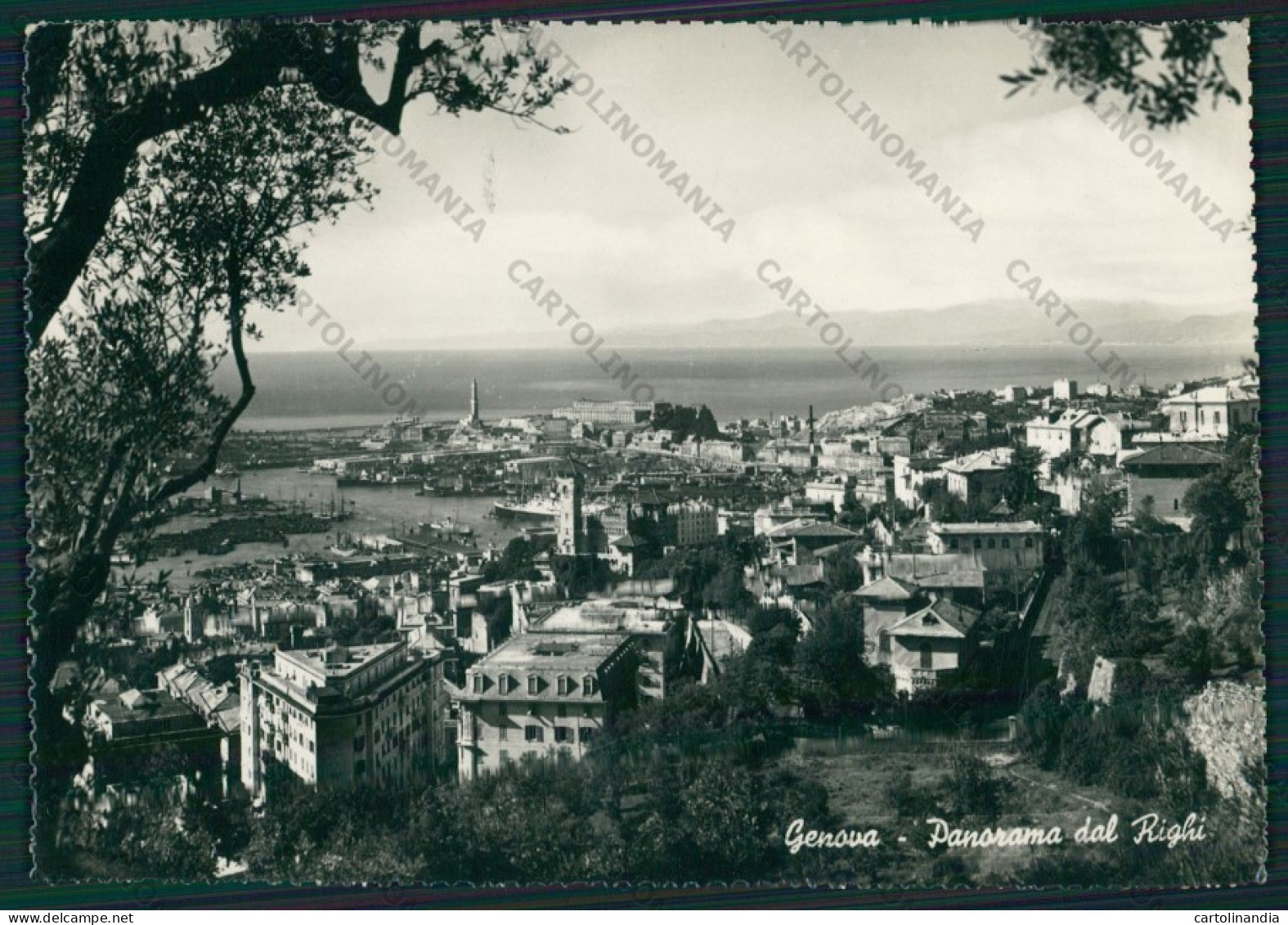 Genova Righi Foto FG Cartolina KV8337 - Genova