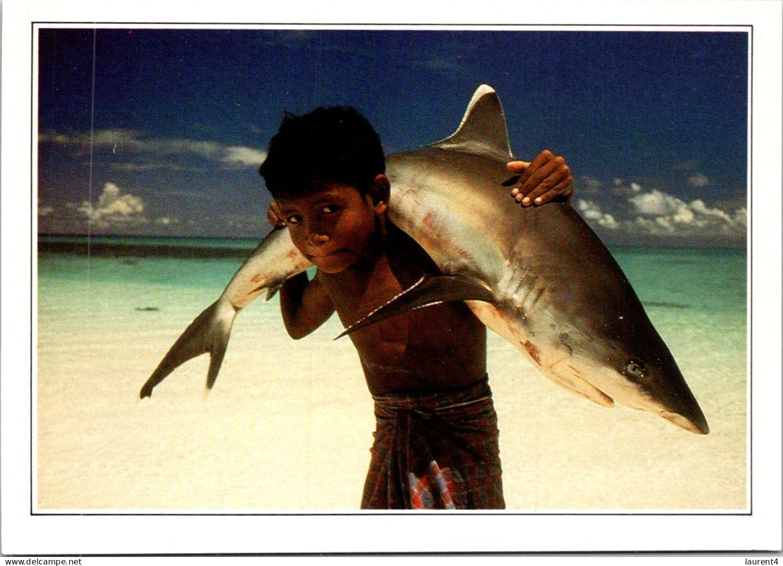 26-4-2024 (3 Z 9) Maldive Island - Youg Fisherman Boys Carrying White-tipped Shark (requin) - Maldiven