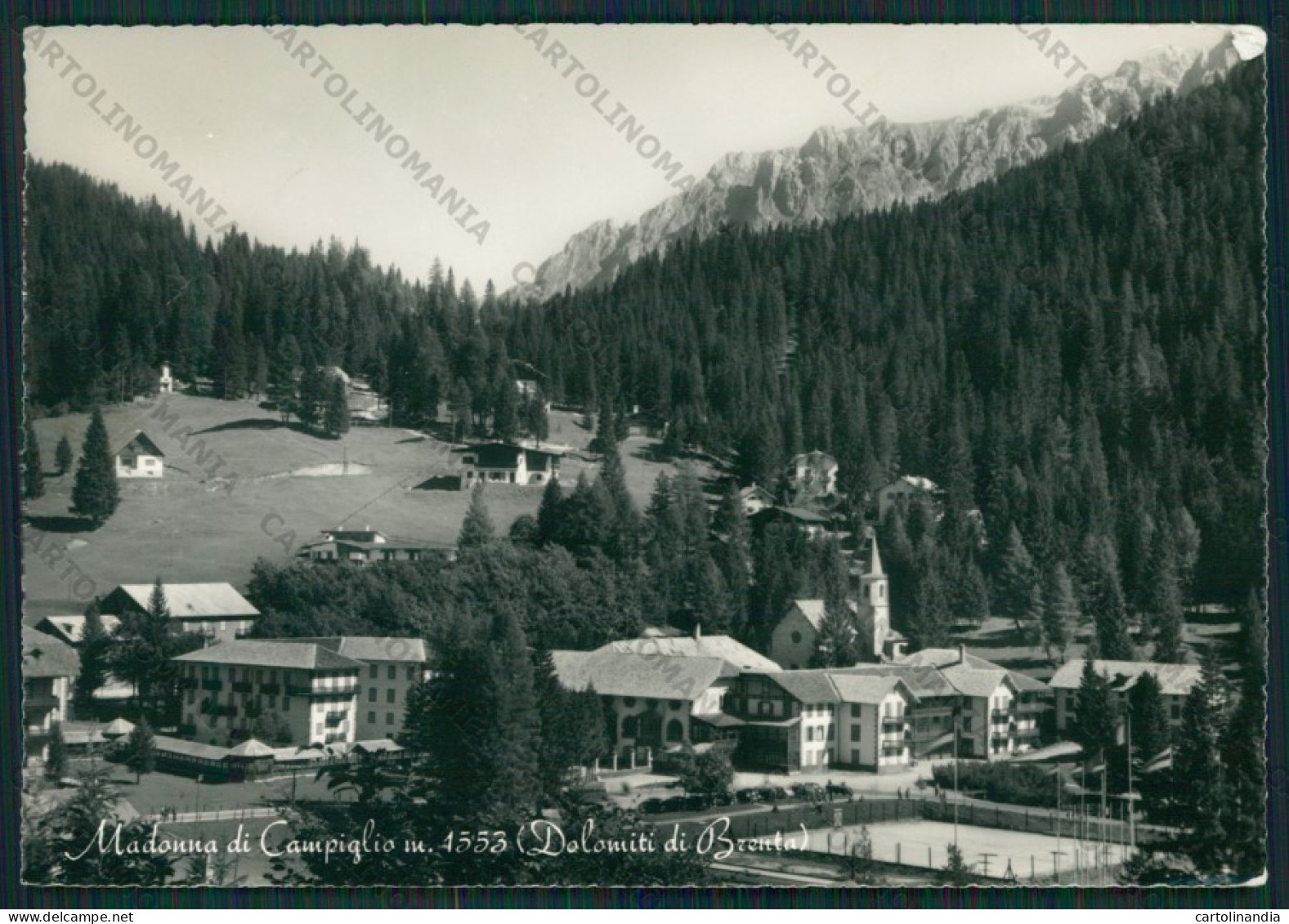 Trento Pinzolo Madonna Di Campiglio Foto FG Cartolina KV8292 - Trento