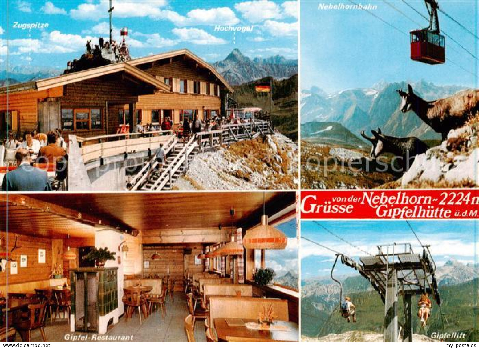 73858693 Oberstdorf Nebelhorn Gipfelhuette Gipfelrestaurant Gipfellift Gemsen Ob - Oberstdorf