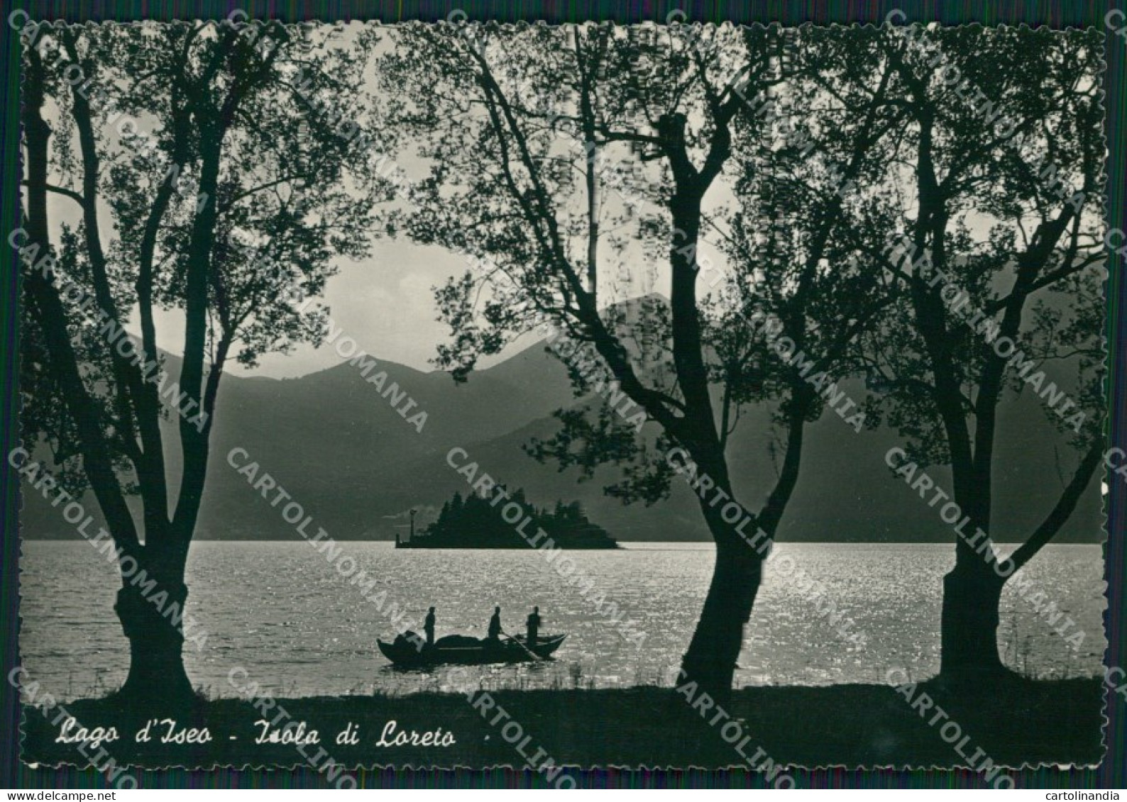Brescia Isola Di Loreto Lago D'Iseo Foto FG Cartolina KV8165 - Brescia