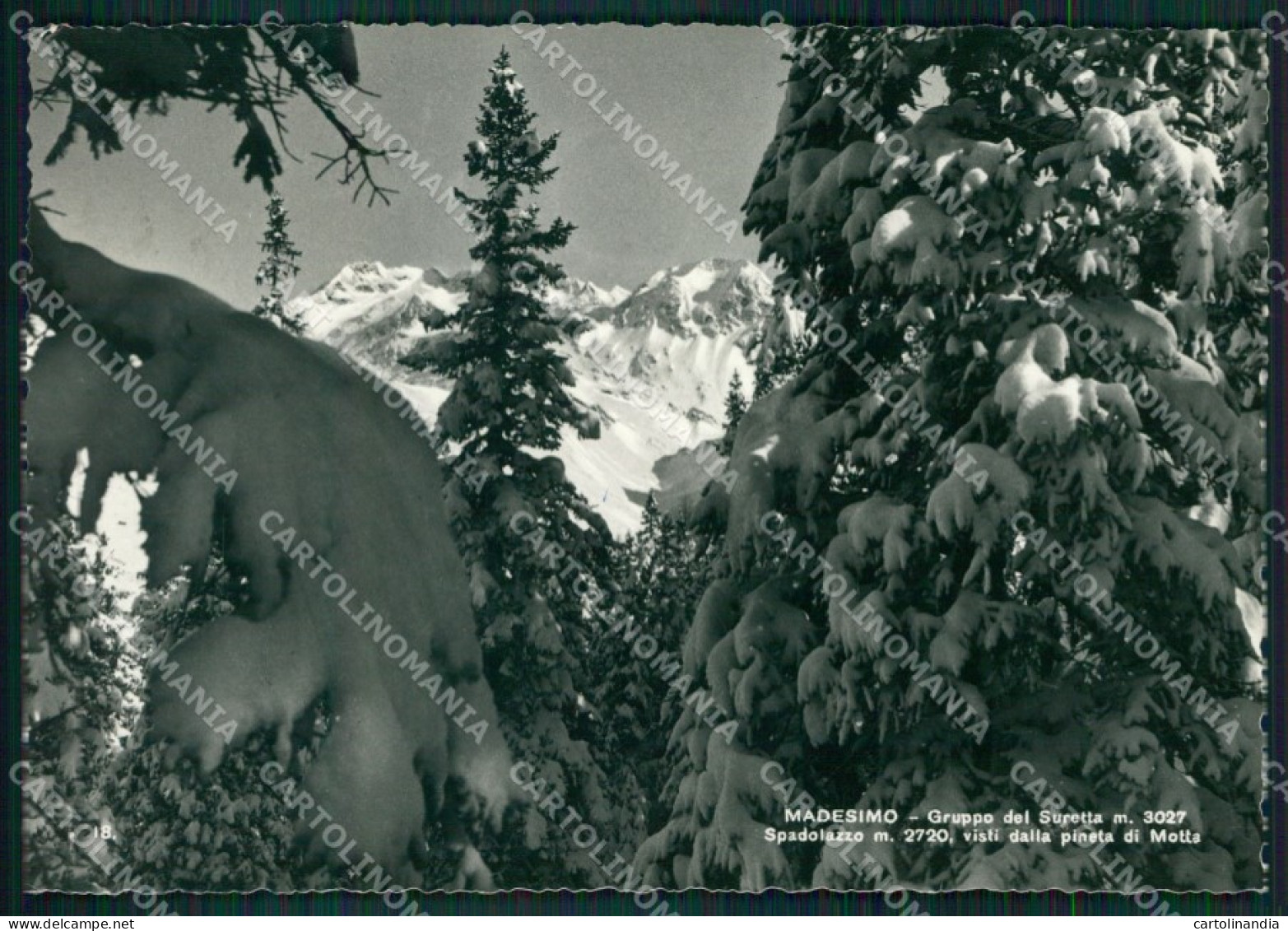 Sondrio Madesimo Nevicata Gruppo Del Suretta Foto FG Cartolina KV8155 - Sondrio