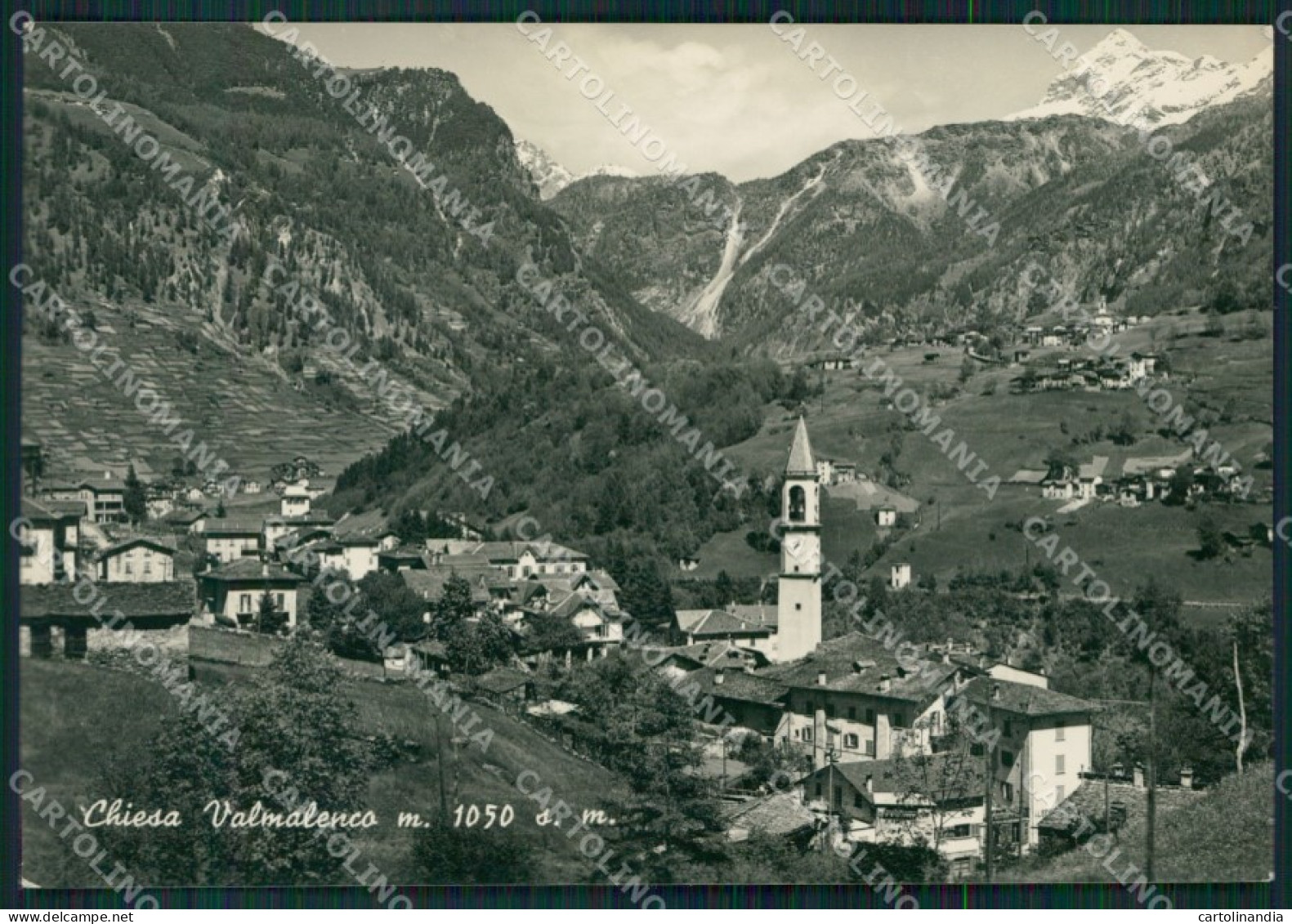 Sondrio Chiesa Valmalenco Foto FG Cartolina KV8154 - Sondrio