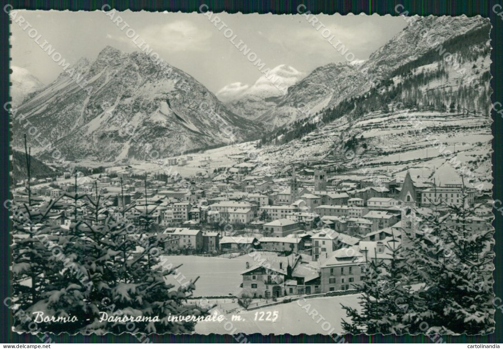 Sondrio Bormio Nevicata Foto FG Cartolina KV8153 - Sondrio