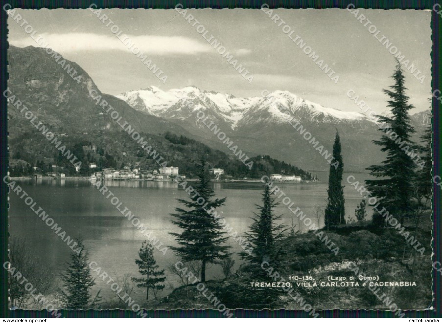 Como Tremezzina Tremezzo Lago Di Como Foto FG Cartolina KV8135 - Como