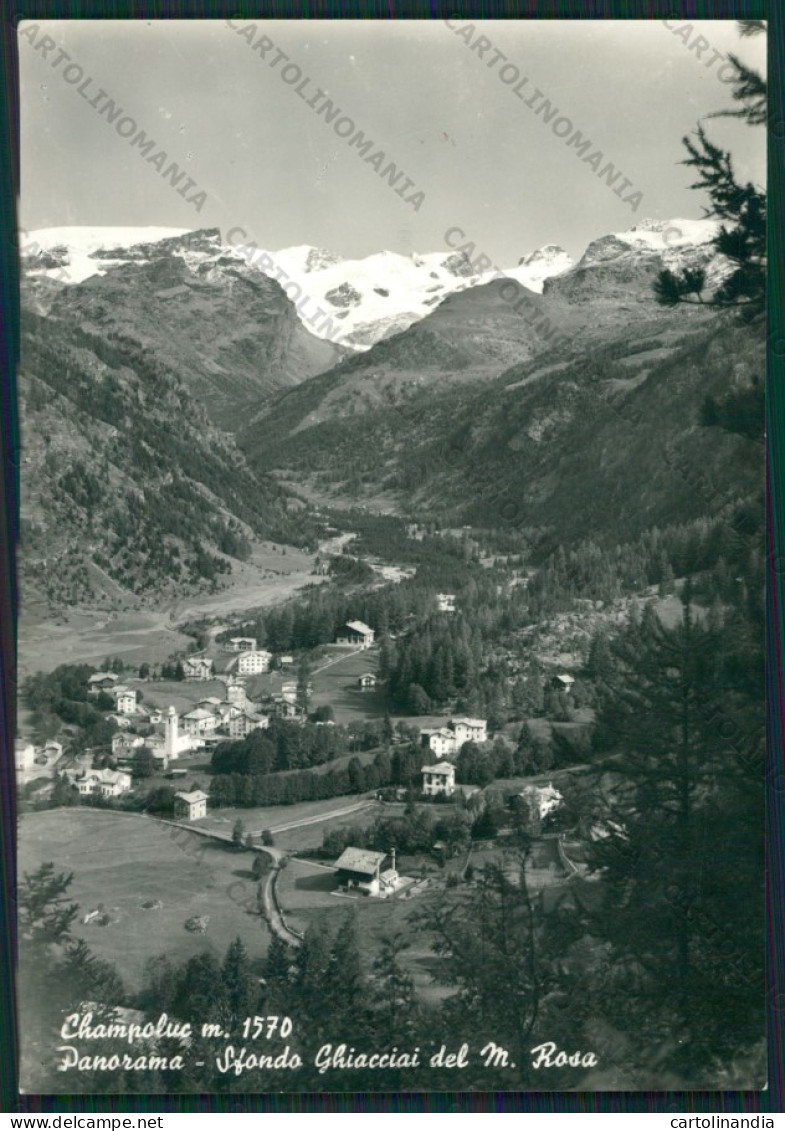 Aosta Ayas Champoluc Monte Rosa Foto FG Cartolina KV8302 - Aosta