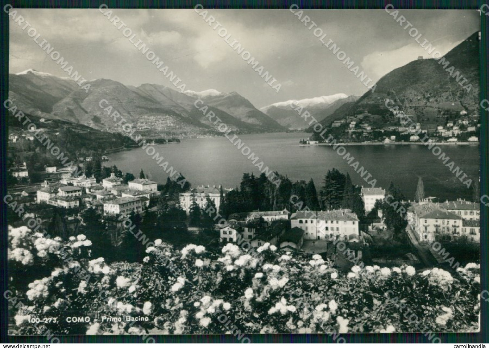 Como Città Lago Di Como Foto FG Cartolina KV8128 - Como
