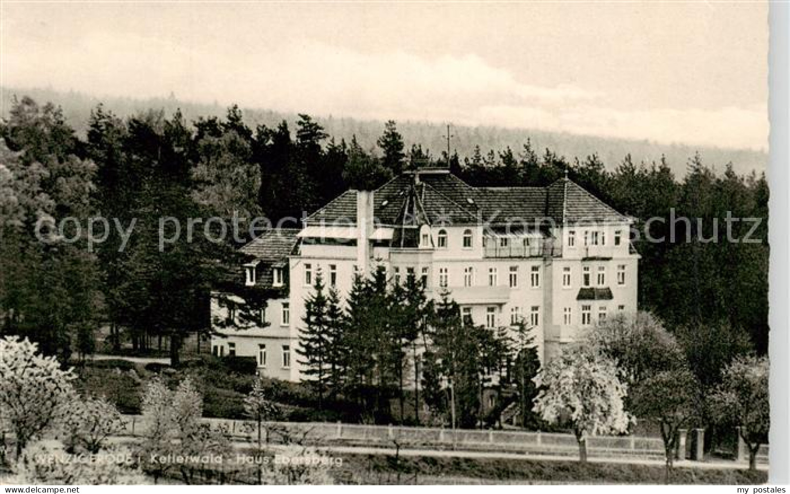 73858406 Wenzigerode Bad Zwesten Hotel Haus Ebersberg Im Kellerwald  - Bad Zwesten