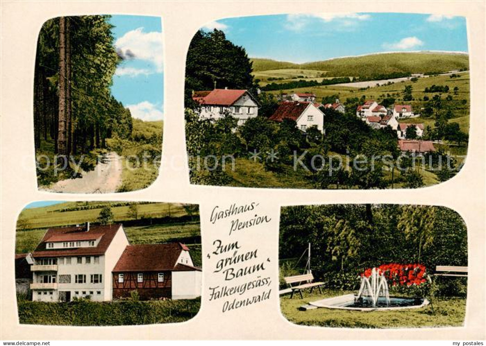 73858362 Falkengesaess Odenwald Panorama Waldpartie Gasthaus Pension Zum Gruenen - Other & Unclassified
