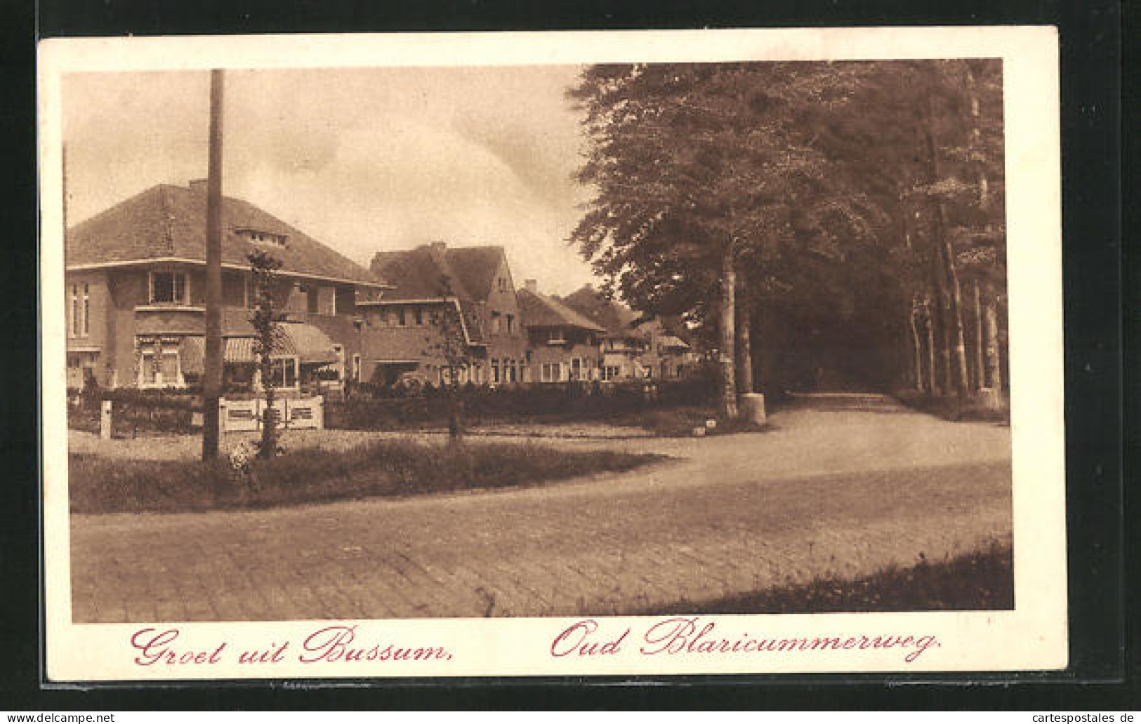 AK Bussum, Oud Blaricummerweg, Wohnhäuser  - Bussum