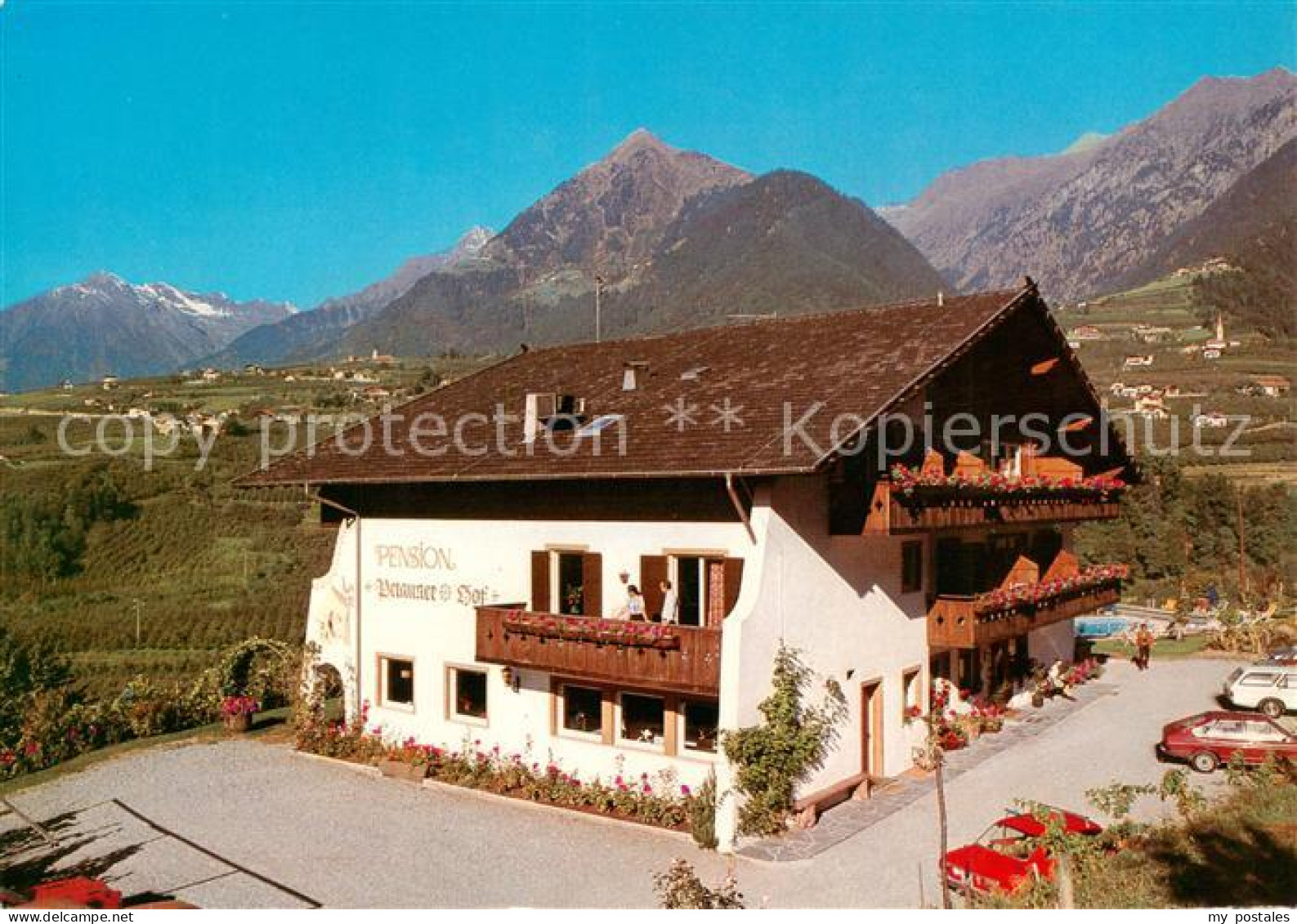 73858063 Schenna Meran Trentino IT Pension Petaunerhof Mit Texelgruppe  - Autres & Non Classés