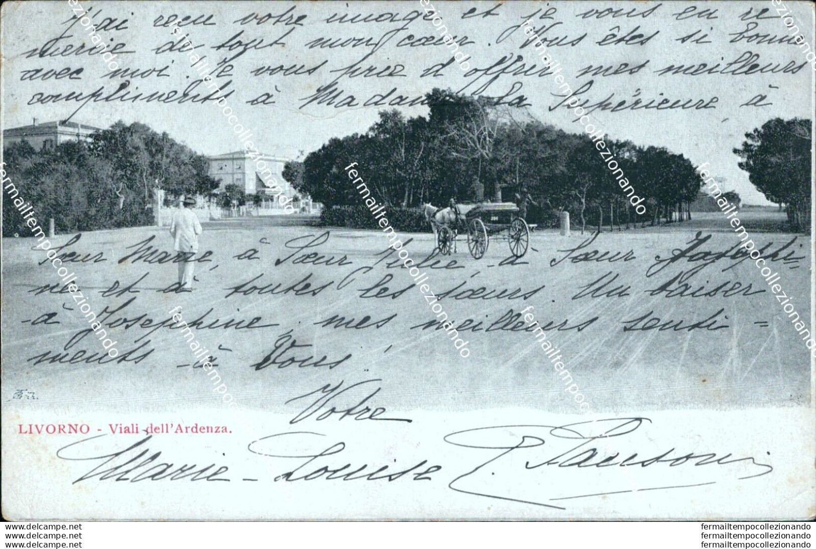 Bf211 Cartolina Livorno Citta'  Viali Dell'ardenza Inizio 900 - Livorno