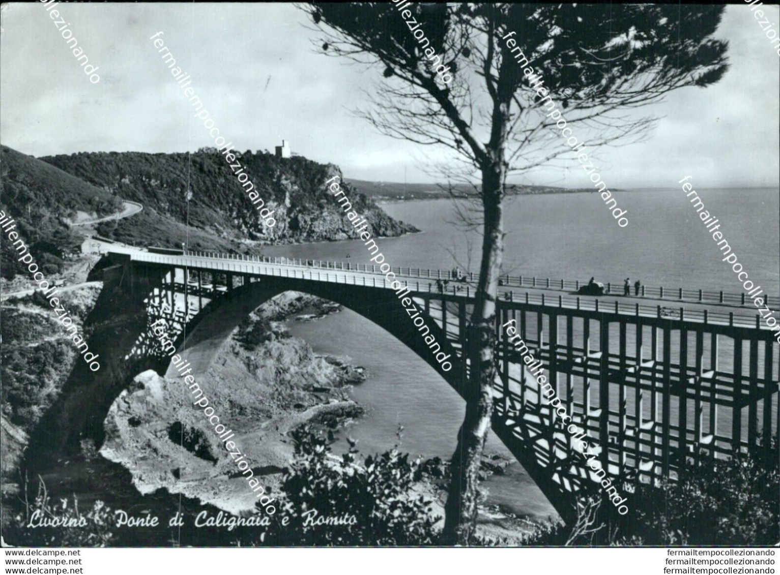 Br139 Cartolina Livorno Ponte Di Calignaia E Romito Toscana - Livorno