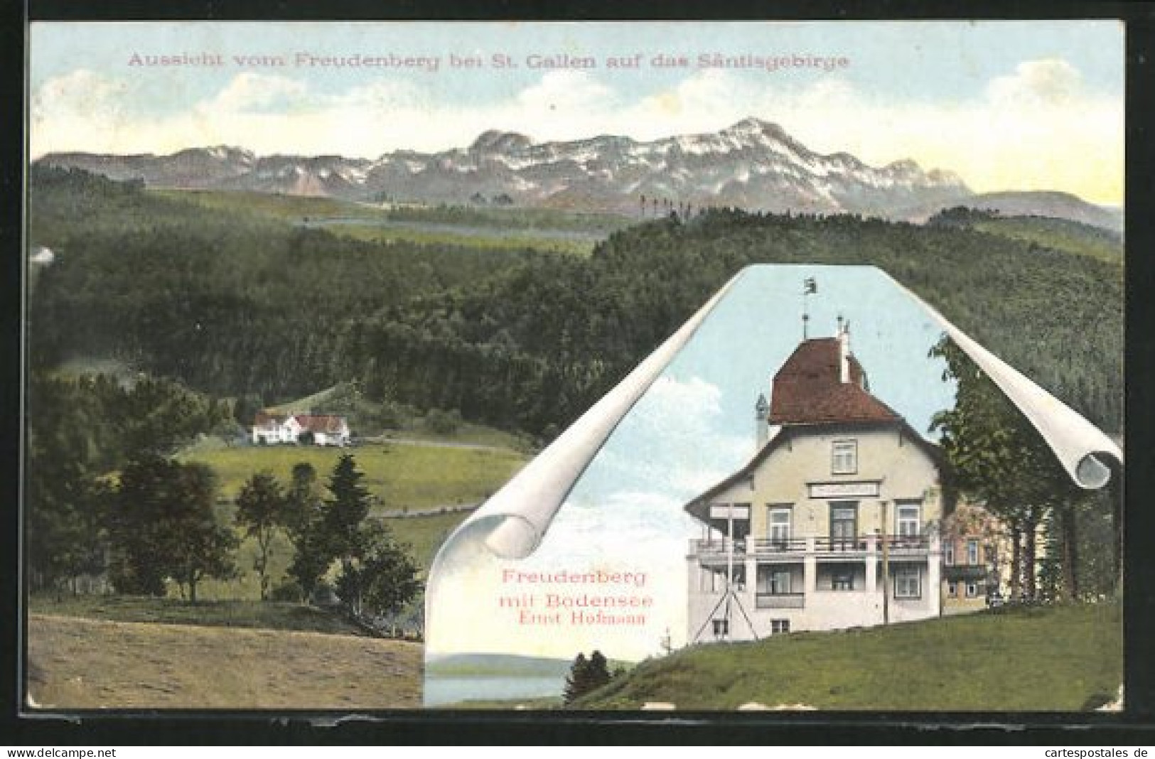 AK Freudenberg, Panorama & Gasthaus Mit Ausblick Zum Bodensee  - Au