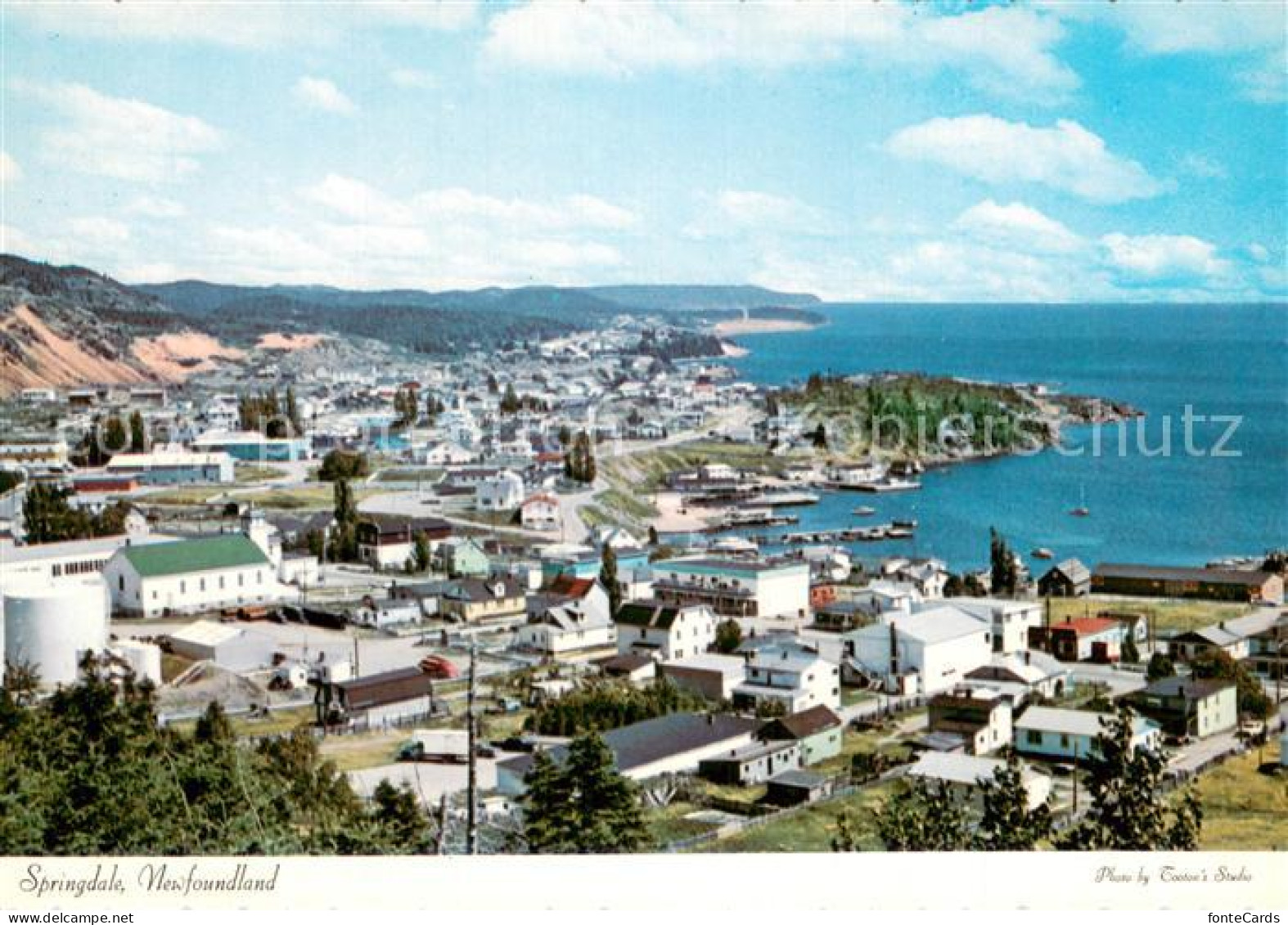 73729535 Newfoundland Canada Springdale General View Of This Lovely Community Si - Ohne Zuordnung