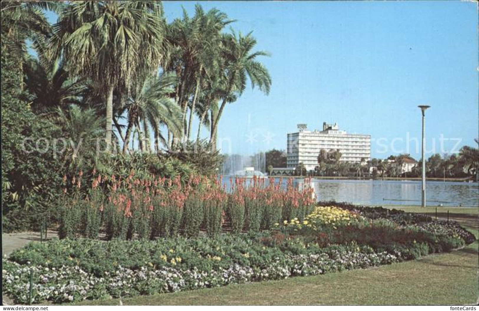 72240599 Orlando_Florida Park Flowers Palms Cherry Plaza Hotel  - Other & Unclassified