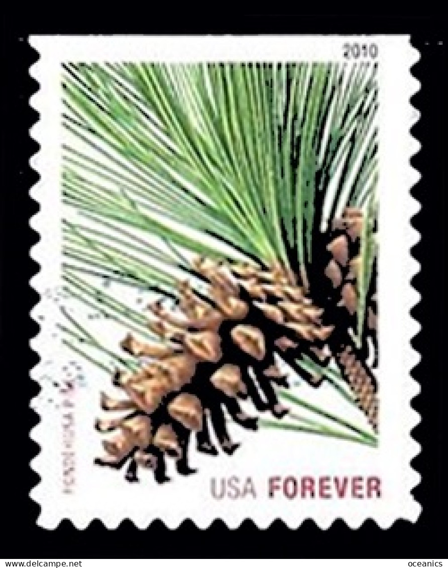 Etats-Unis / United States (Scott No.4478 - Noël / 2010 / Christmas) (o) (P3) - Used Stamps