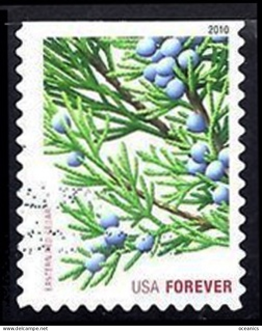 Etats-Unis / United States (Scott No.4479 - Noël / 2010 / Christmas) (o) (P3) - Usati