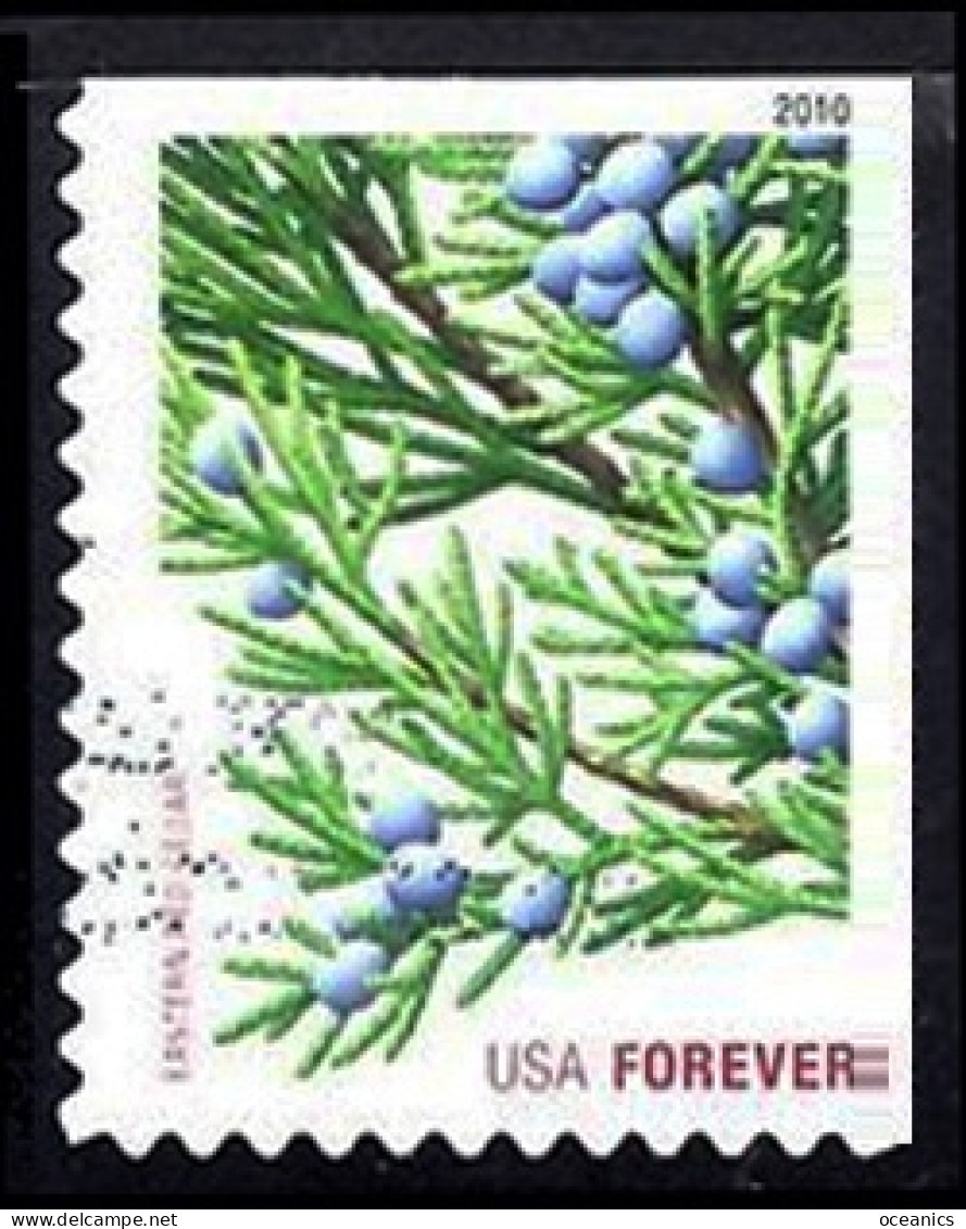 Etats-Unis / United States (Scott No.4479 - Noël / 2010 / Christmas) (o) (P2) - Used Stamps