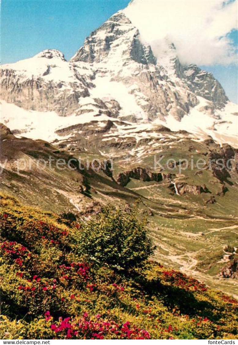 13738232 Matterhorn Mont Cervin 4478m VS Bei Cervinia Breuil  - Autres & Non Classés