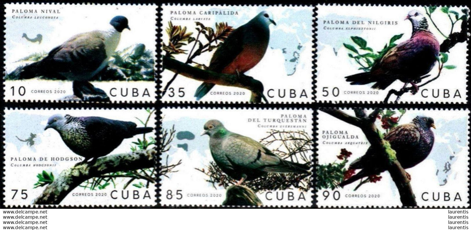 14662  Pigeons - Colombes - 2020 - Stamps + S/S - MNH - Cb - 3,25 - Columbiformes