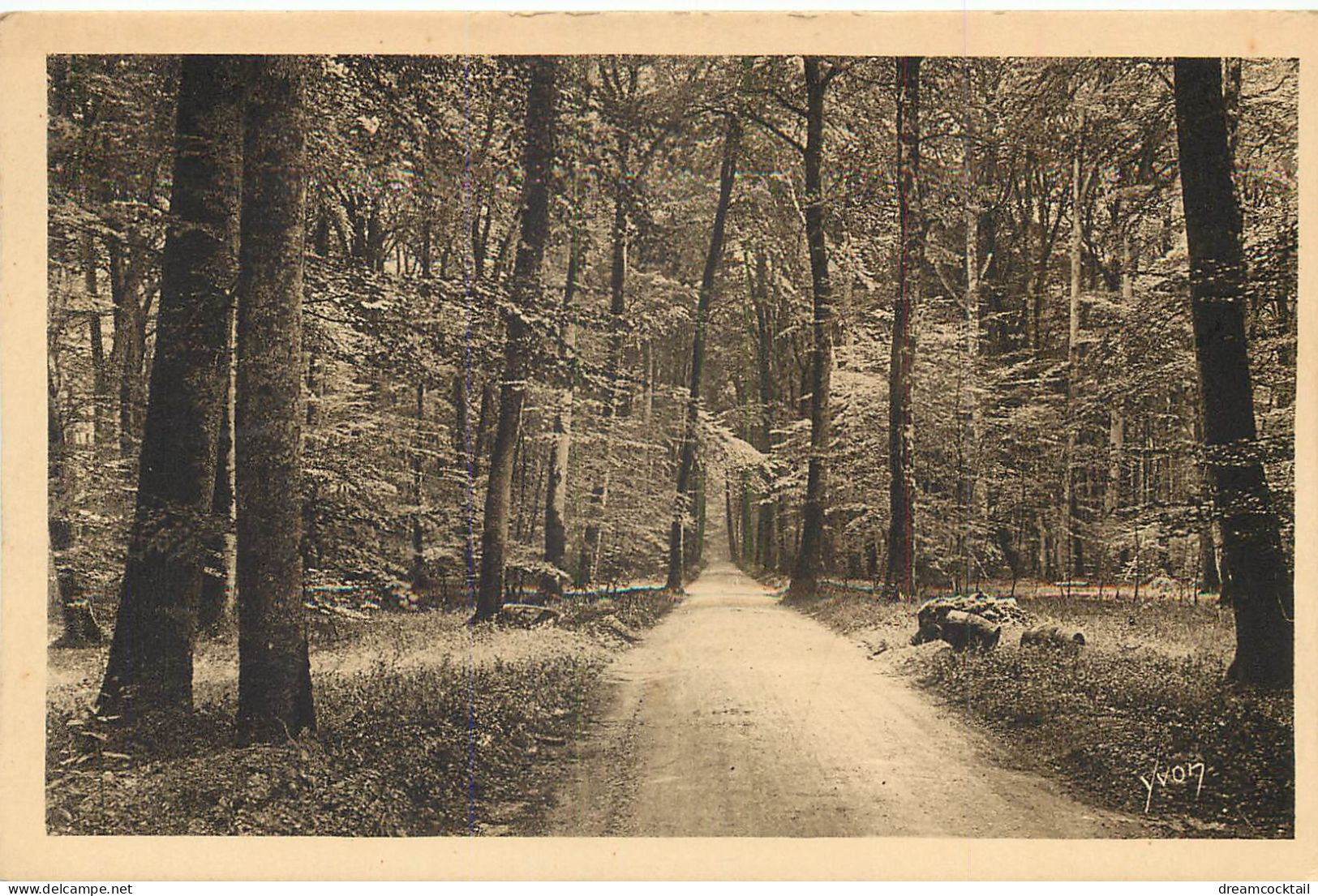 (S) Superbe LOT n°7 de 50 cartes postales anciennes France régionalisme