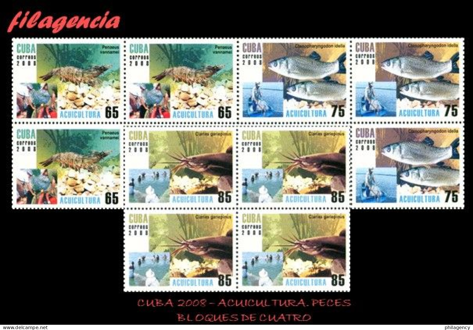 CUBA. BLOQUES DE CUATRO. 2008-09 ACUICULTURA. PECES - Ongebruikt