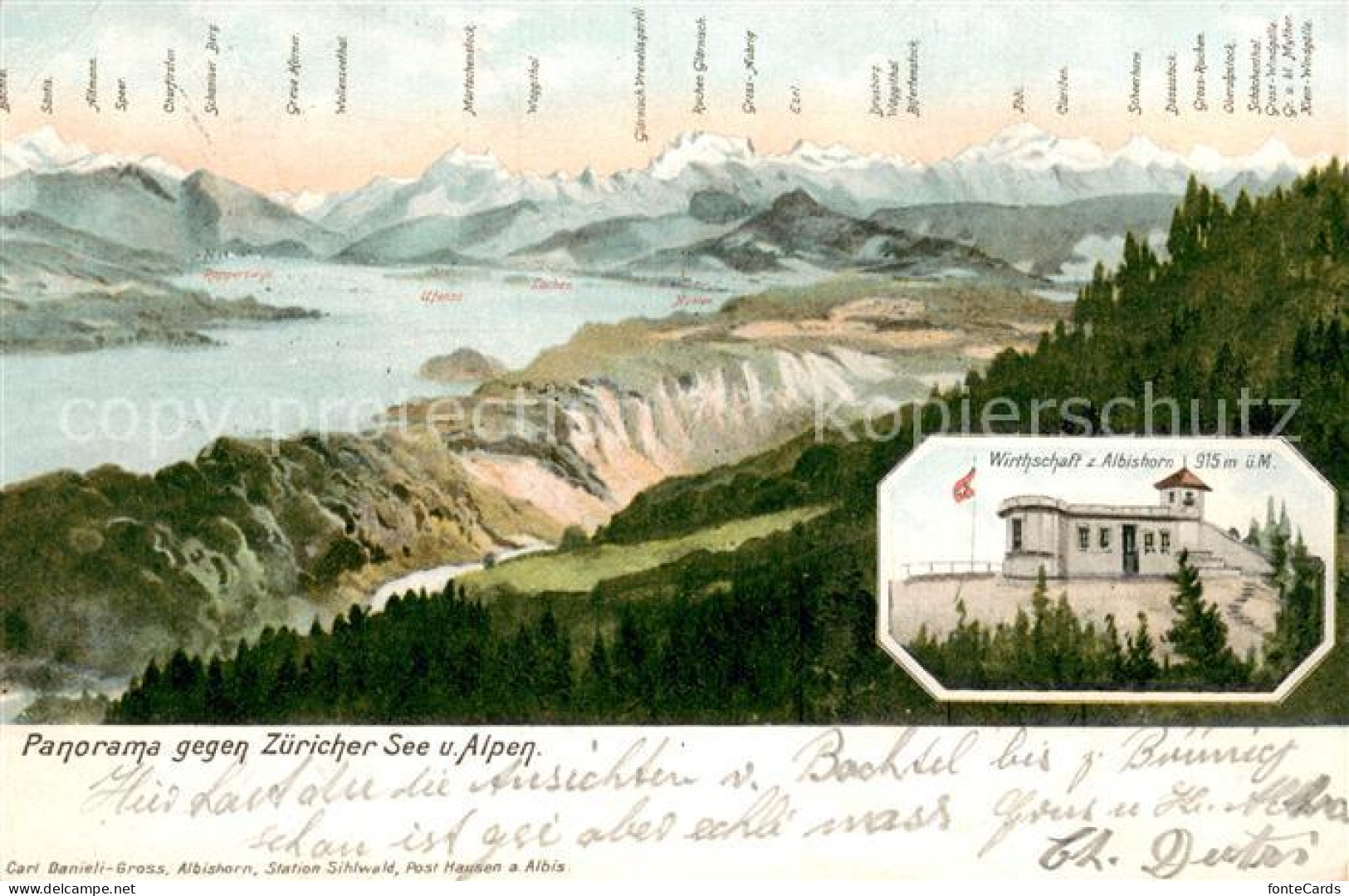 13734843 Zuerichsee ZH Seepanorama Und Die Alpen Mit Wirthschaft Zum Albishorn Z - Other & Unclassified