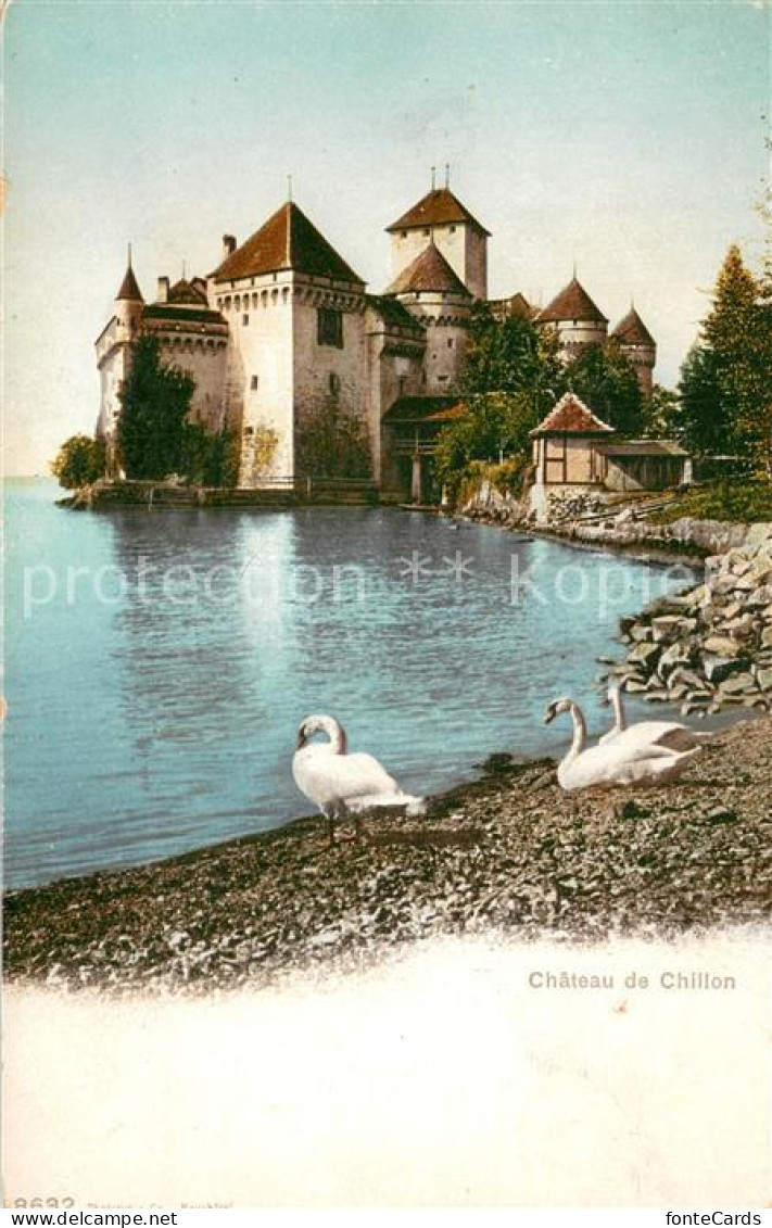 13733354 Chillon Chateau De Chillon Chillon - Altri & Non Classificati