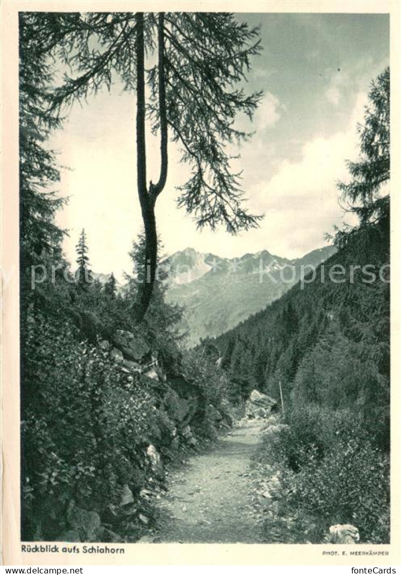 13732082 Schiahorn 2636m Spluegenpass Rueckblick Aufs Schiahorn  - Andere & Zonder Classificatie