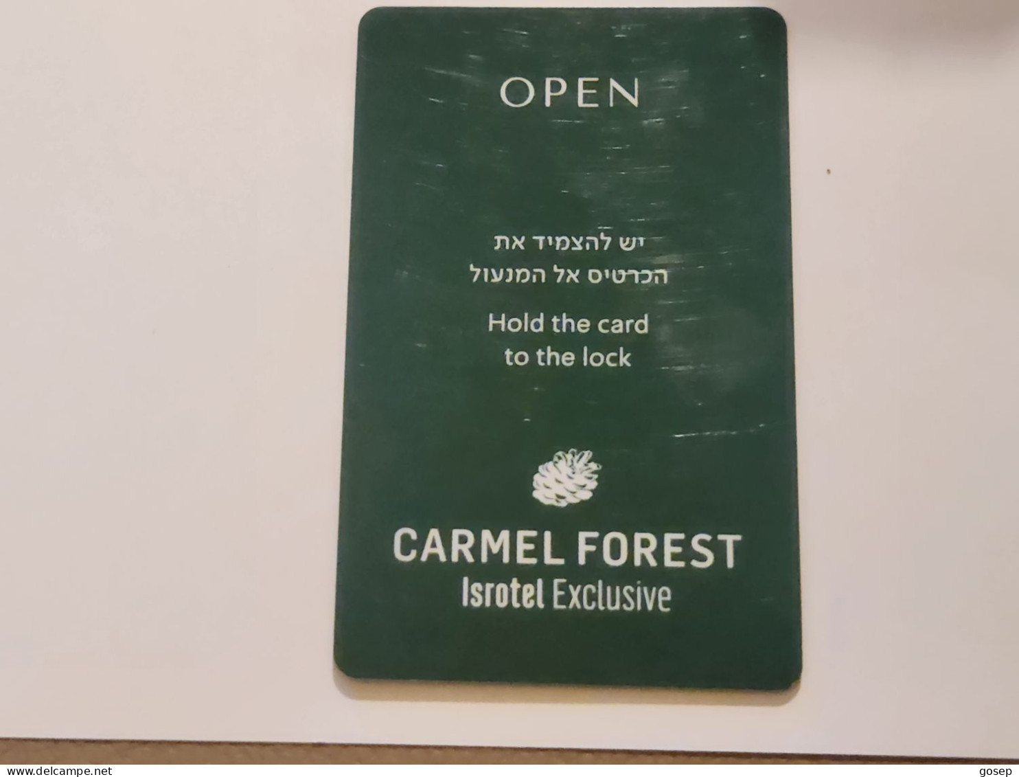 ISRAEL-CARMEL FOREST ISROTEL EXCLUSIVE-HOTAL-KEY-(1081)-good - Chiavi Elettroniche Di Alberghi