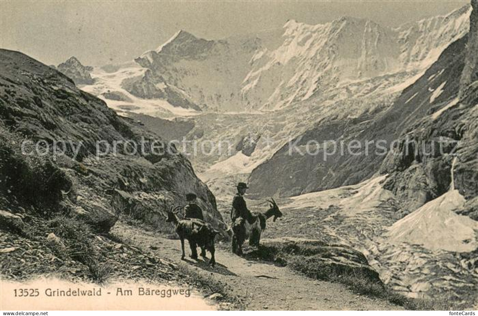 13728611 Grindelwald Ziegenhirten Am Baereggweg Grindelwald - Autres & Non Classés