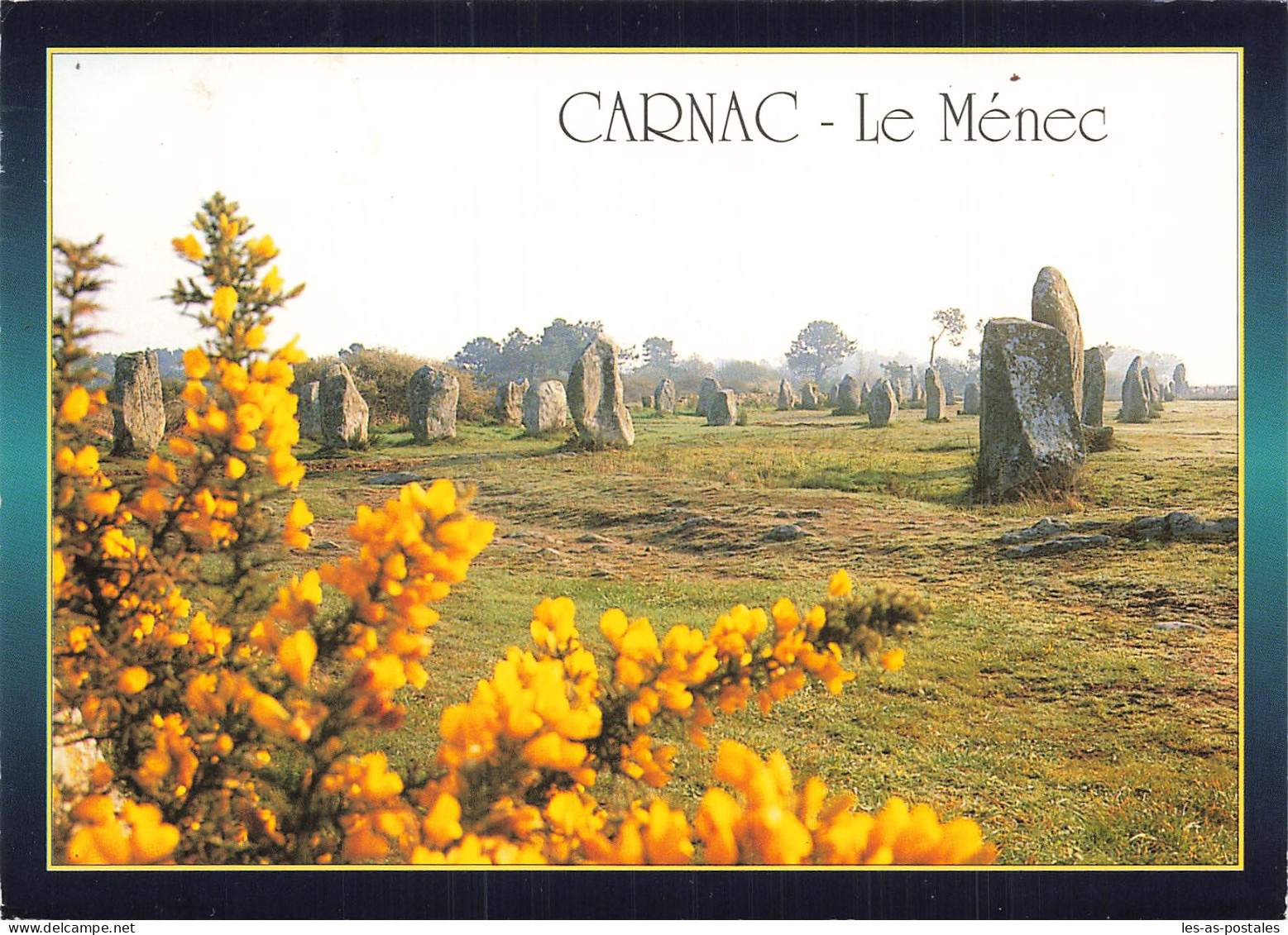 56 CARNAC LES ALIGNEMENTS DU MENEC - Carnac