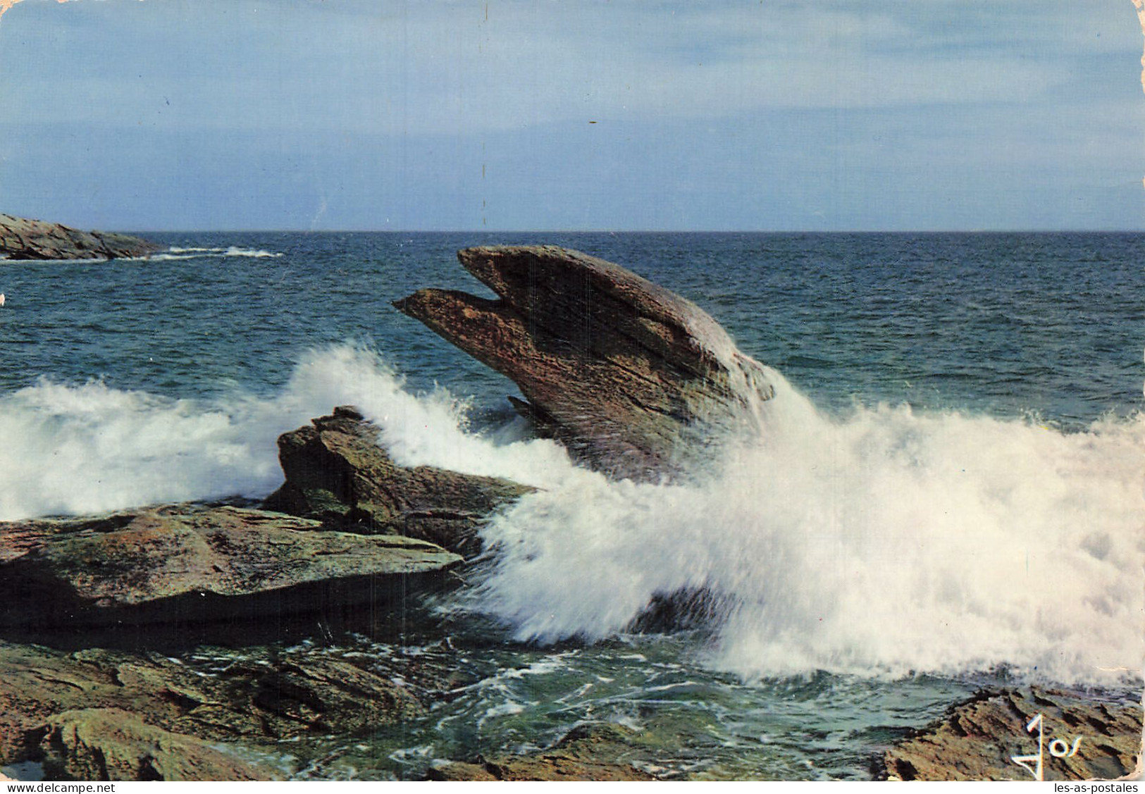 56 QUIBERON L AIGLE - Quiberon