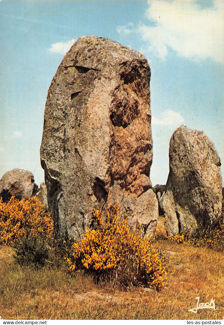 56 CARNAC MENHIRS DU MENEC - Carnac