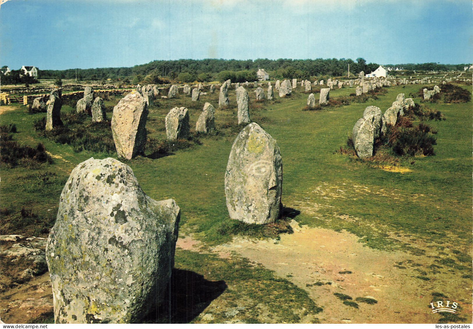 56 CARNAC LES ALIGNEMENTS DE MENHIRS AU MENEC - Carnac