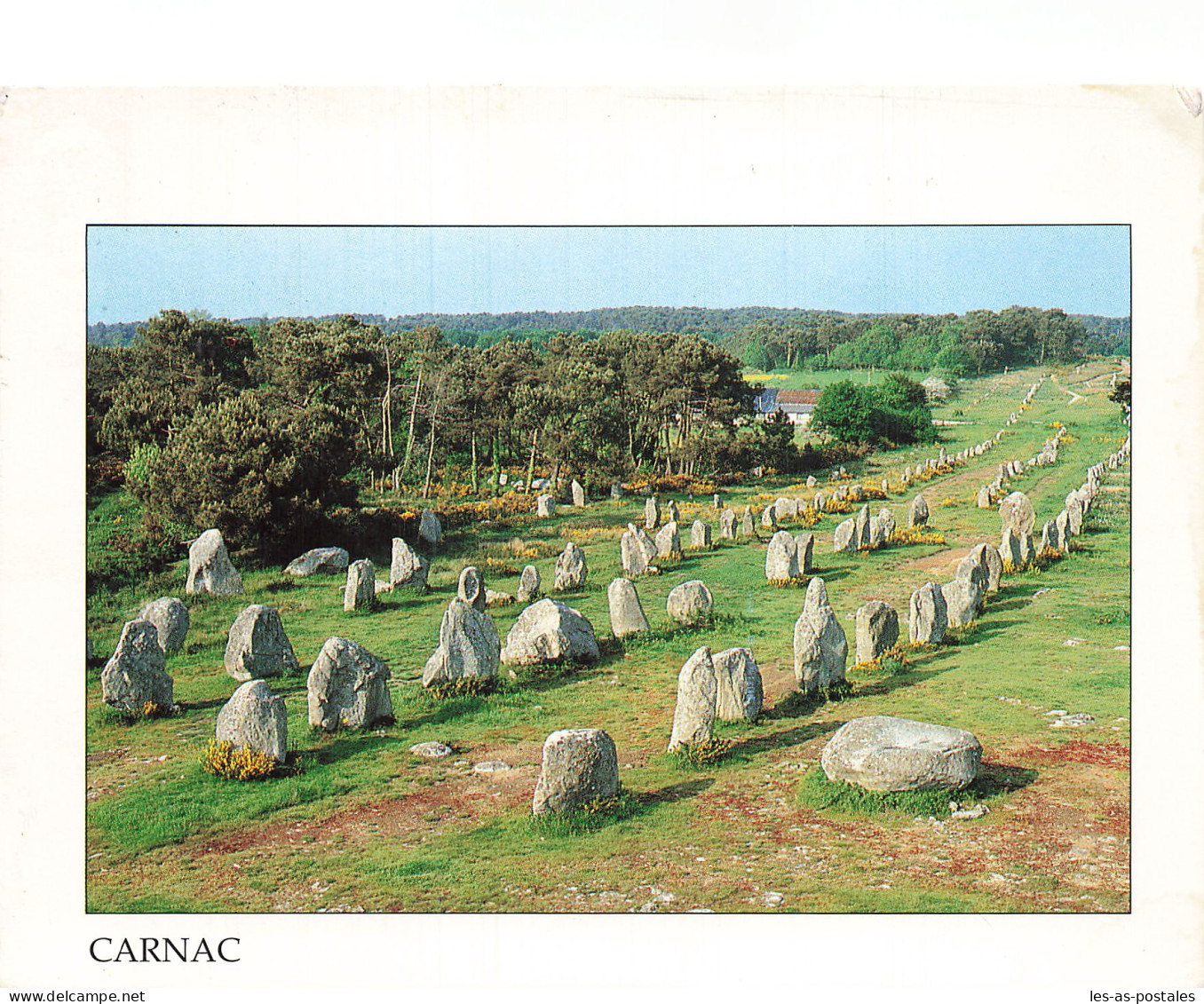 56 CARNAC KERMARIO - Carnac