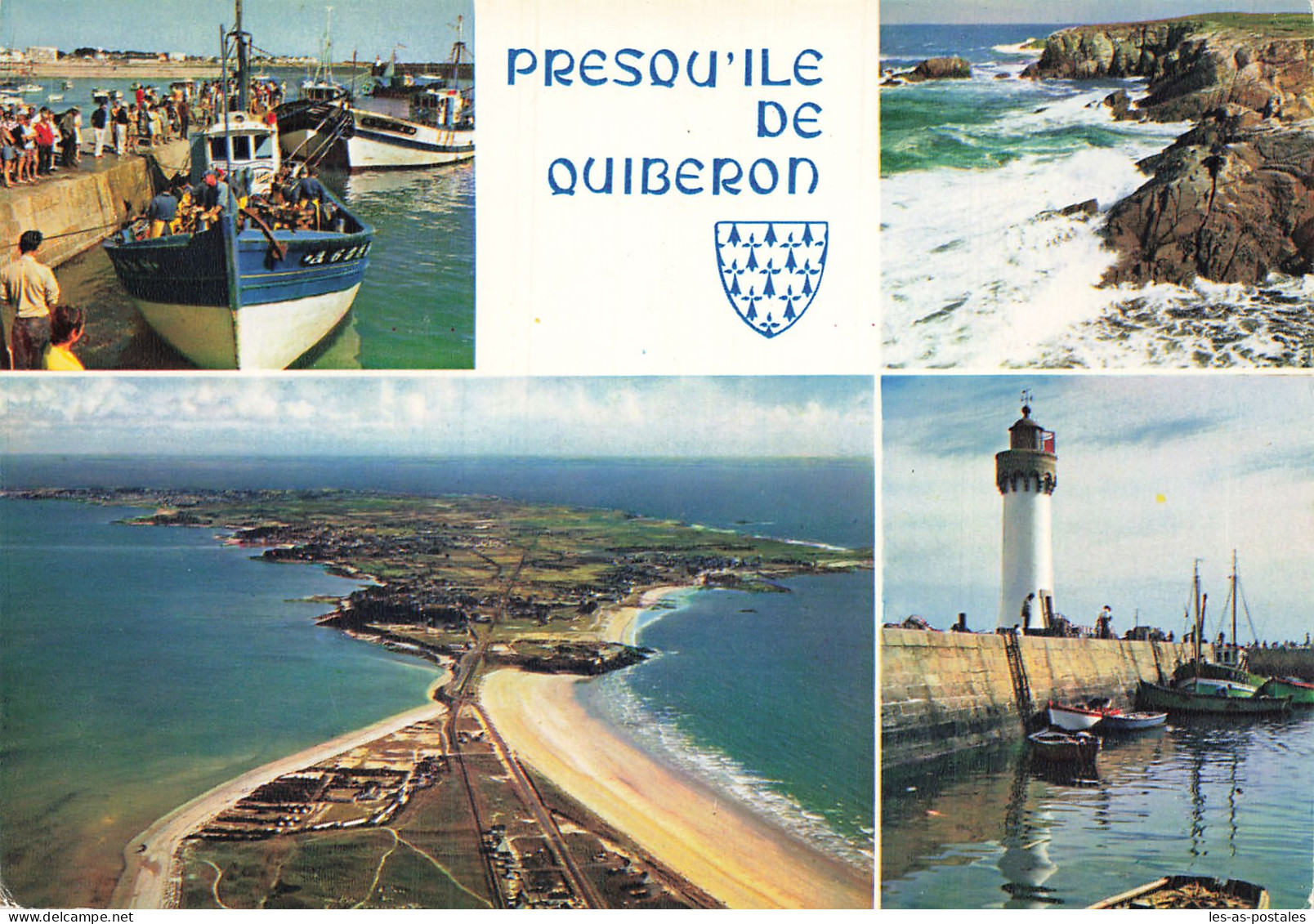 56 PRESQU ILE DE QUIBERON - Quiberon