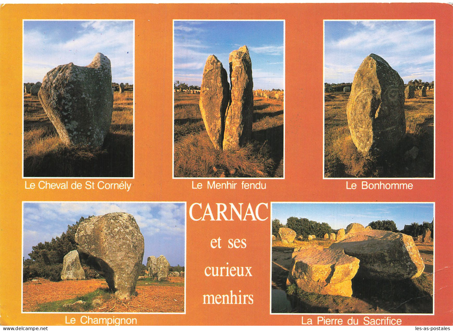 56 CARNAC - Carnac