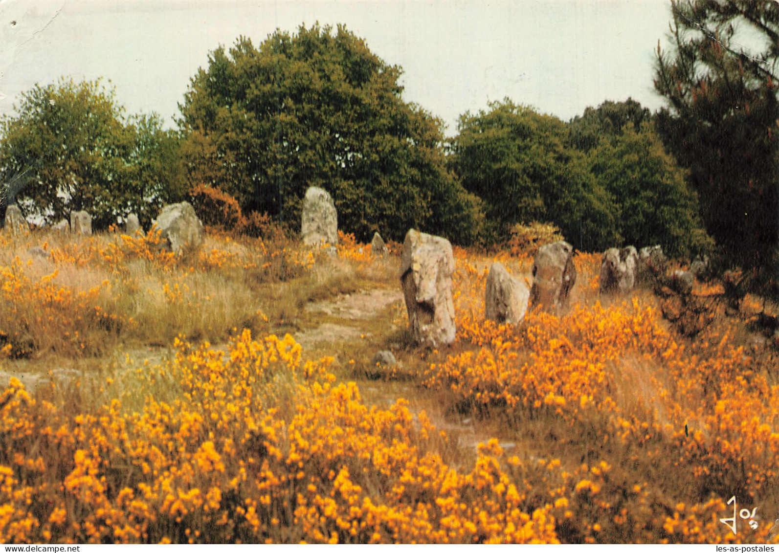 56 CARNAC LES ALIGNEMENTS DE KERMARIO - Carnac