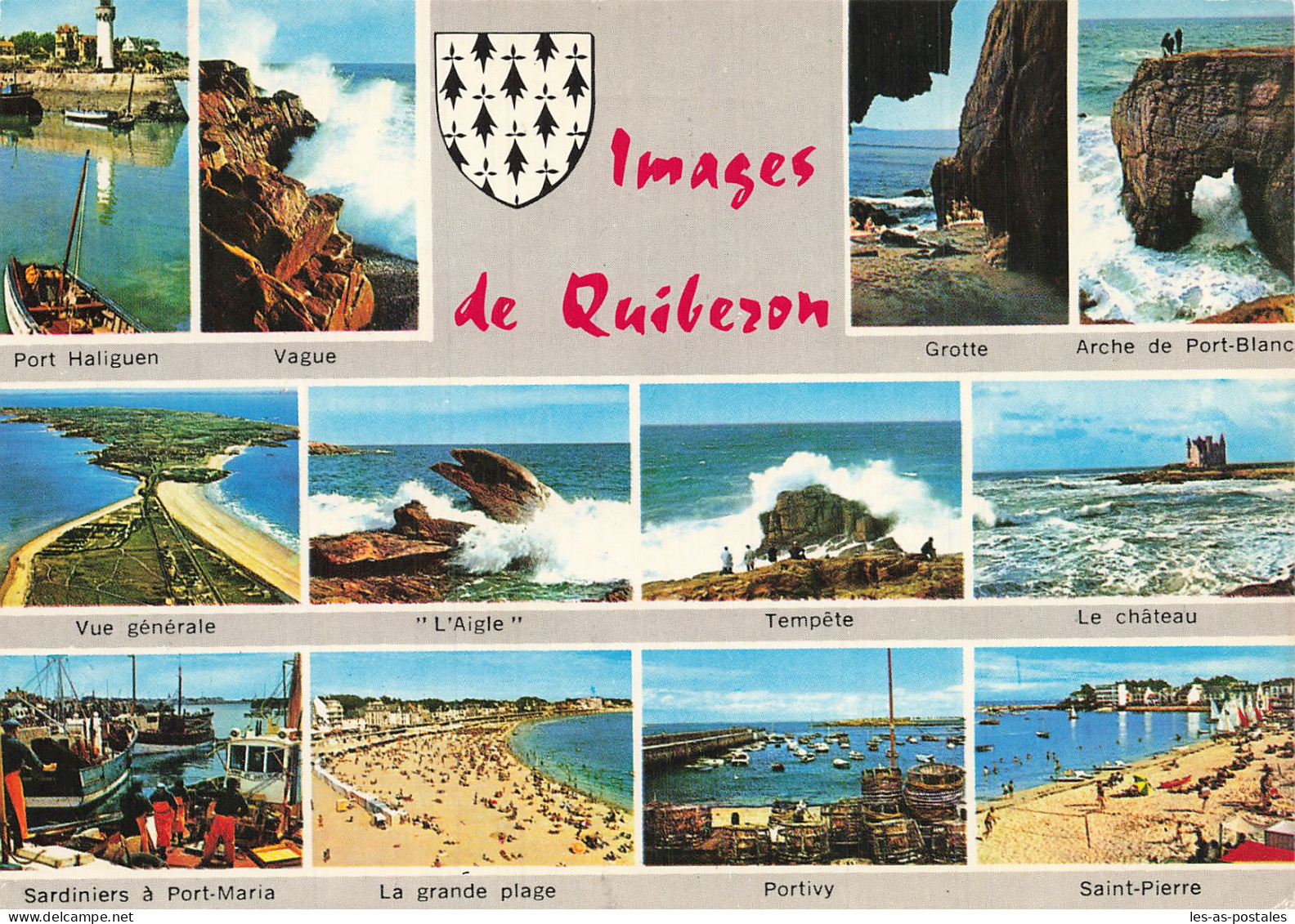 56 QUIBERON - Quiberon