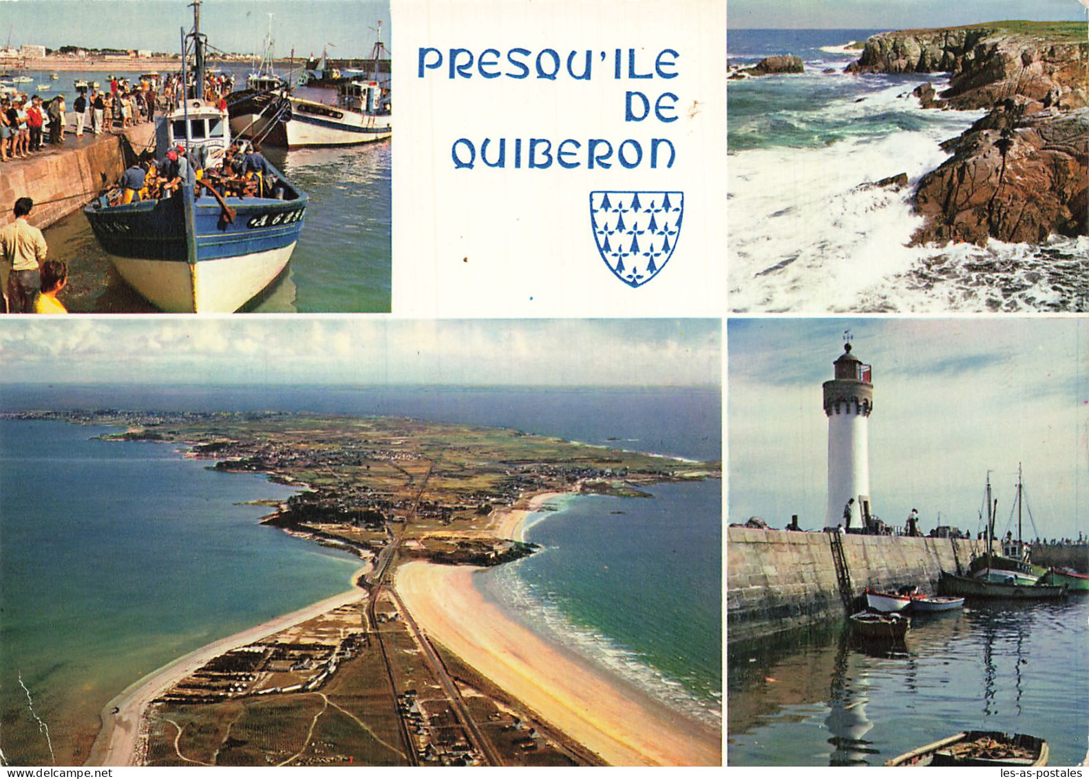 56 PRESQU ILE DE QUIBERON - Quiberon