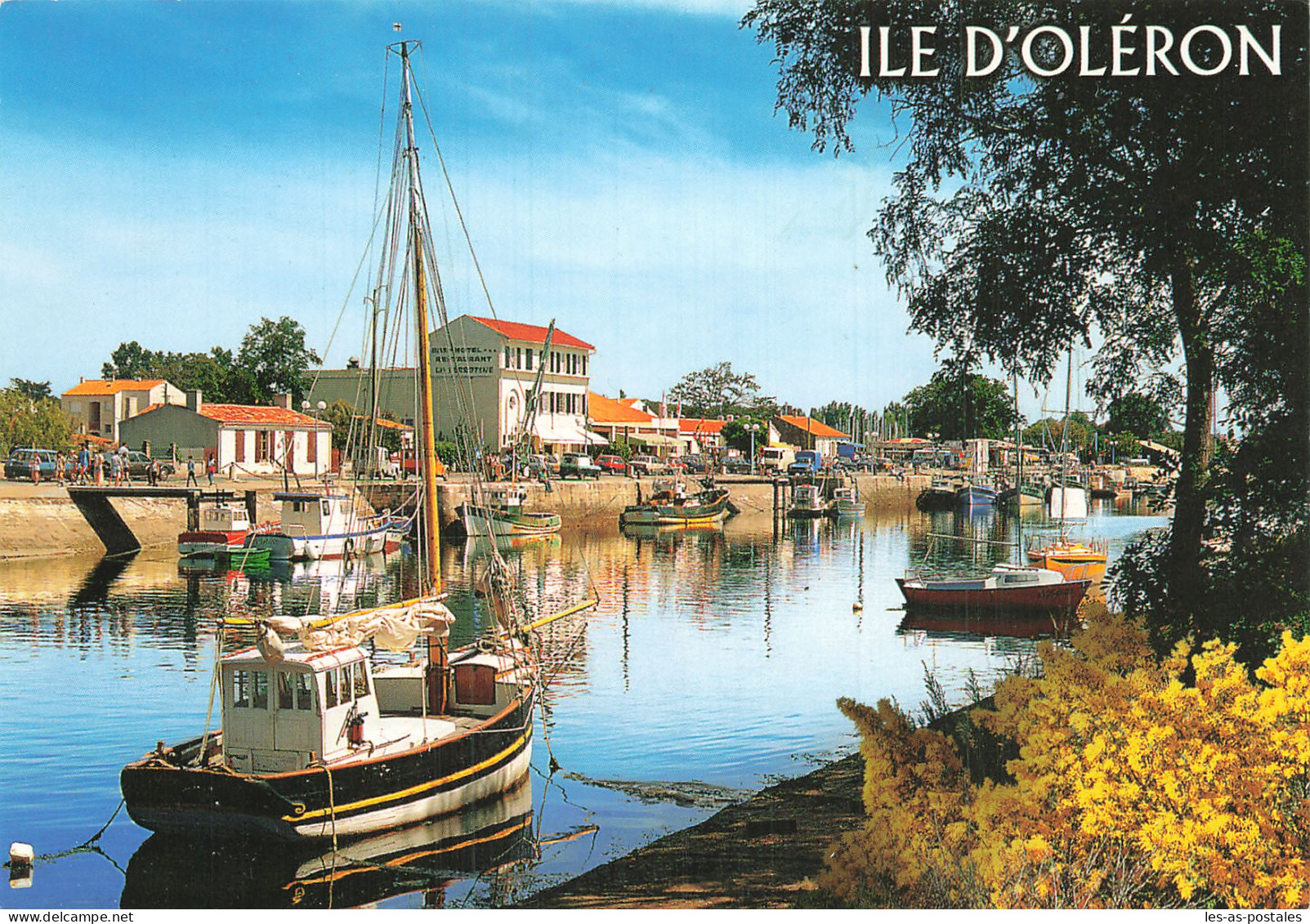 17 L ILE D OLERON BOYARDVILLE - Ile D'Oléron